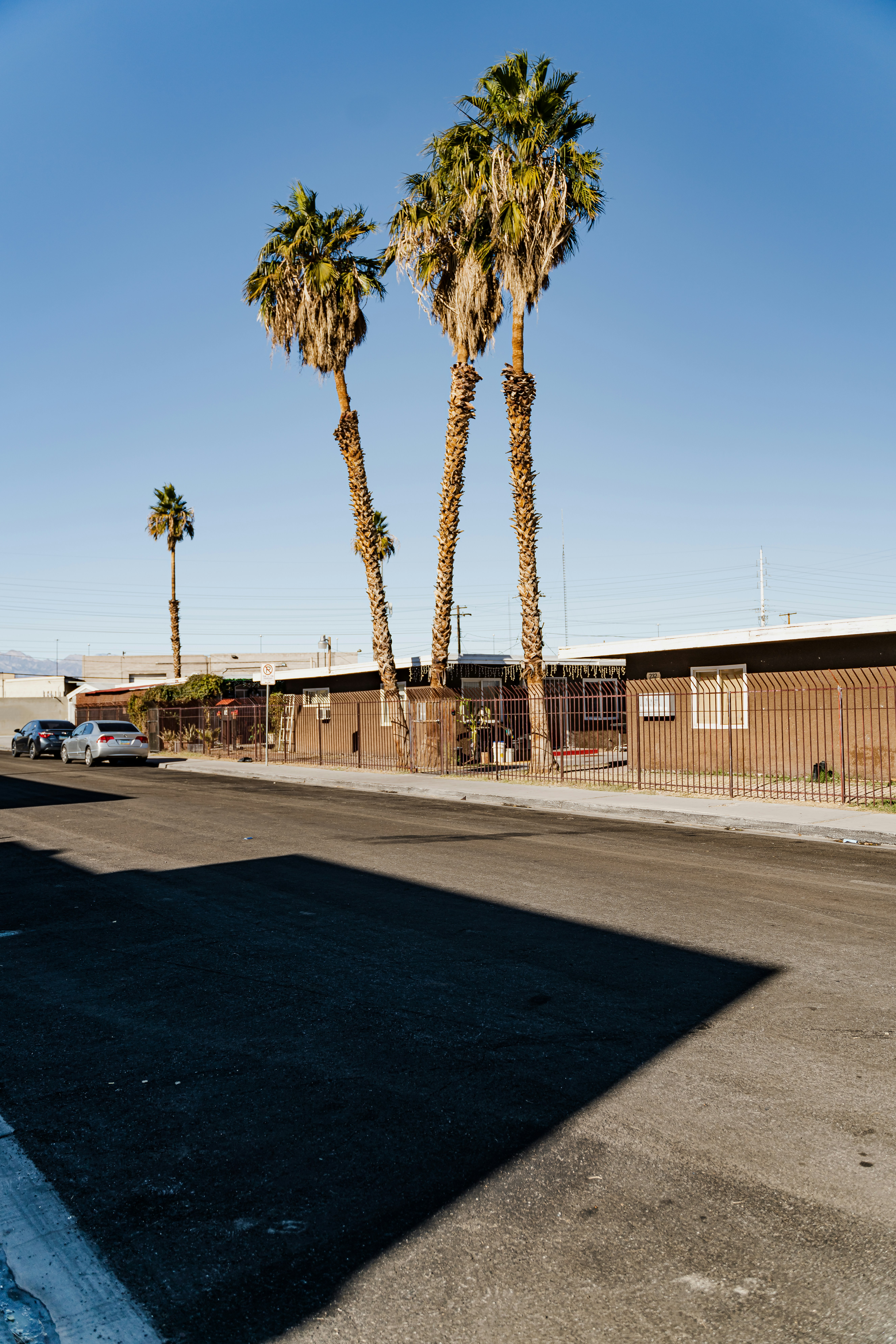 Photo by ridgehost91