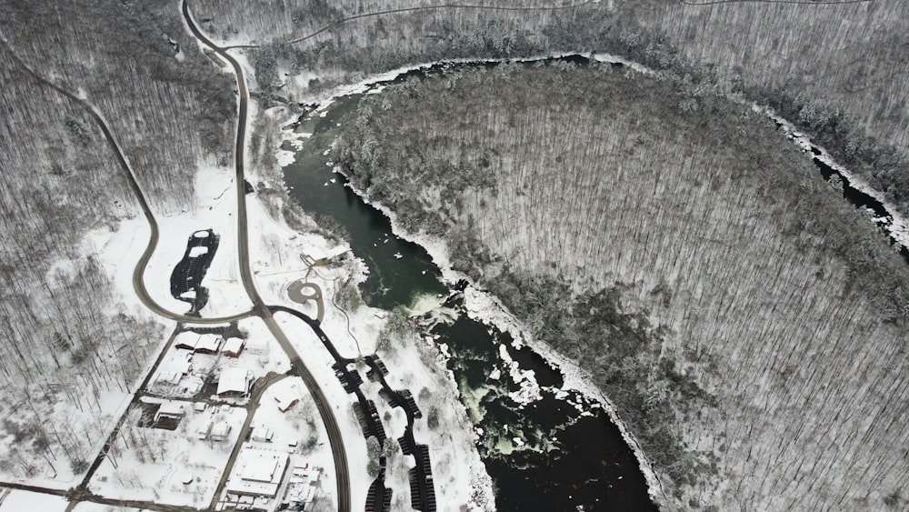 aerial view of green trees and river