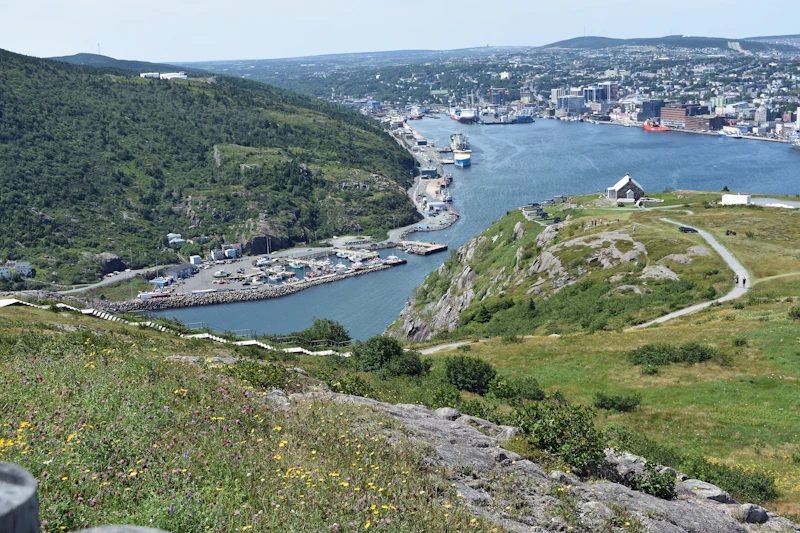 Best Sights in St. John's Away From the Tourist Traps