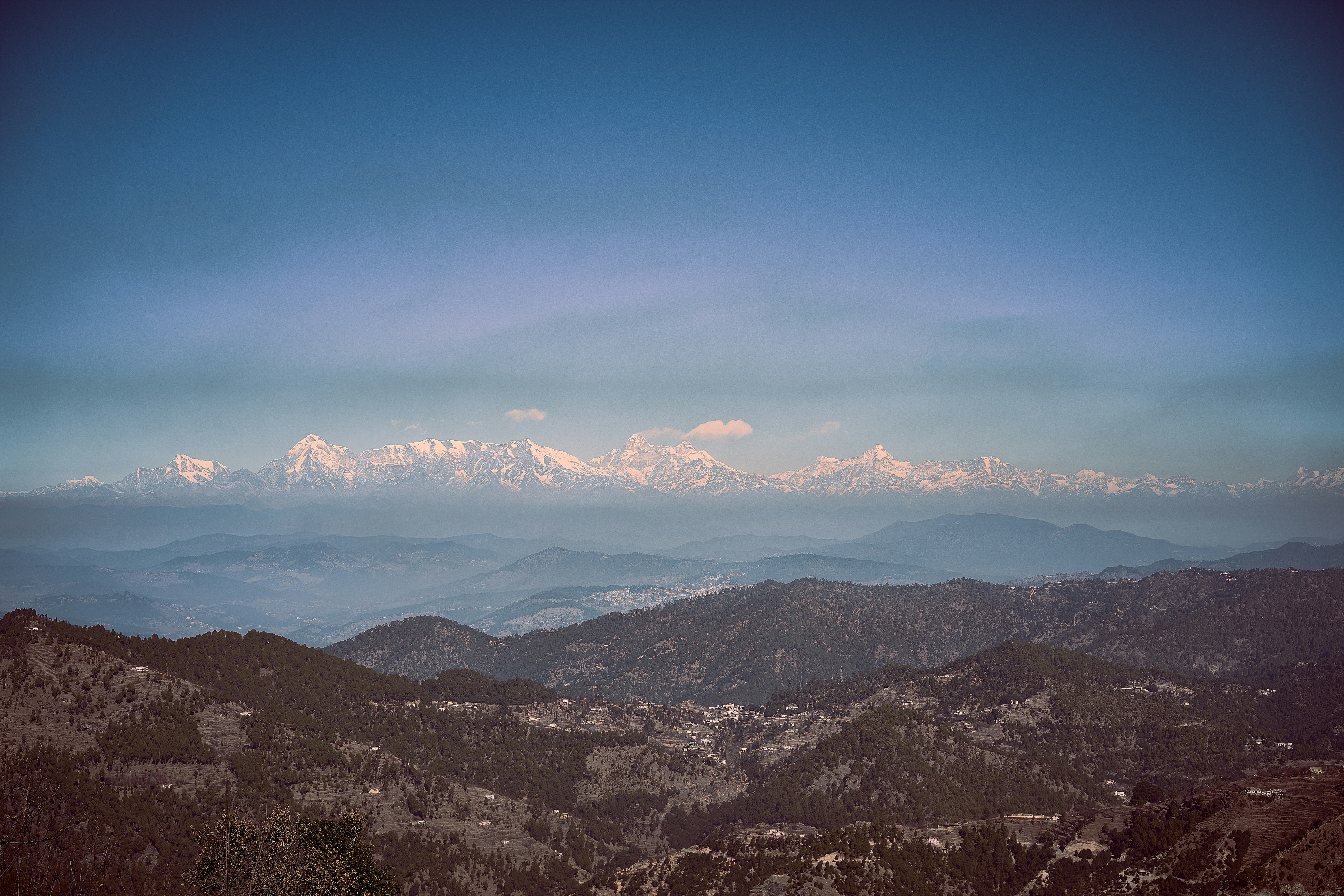 Photo by suicide_chewbacca