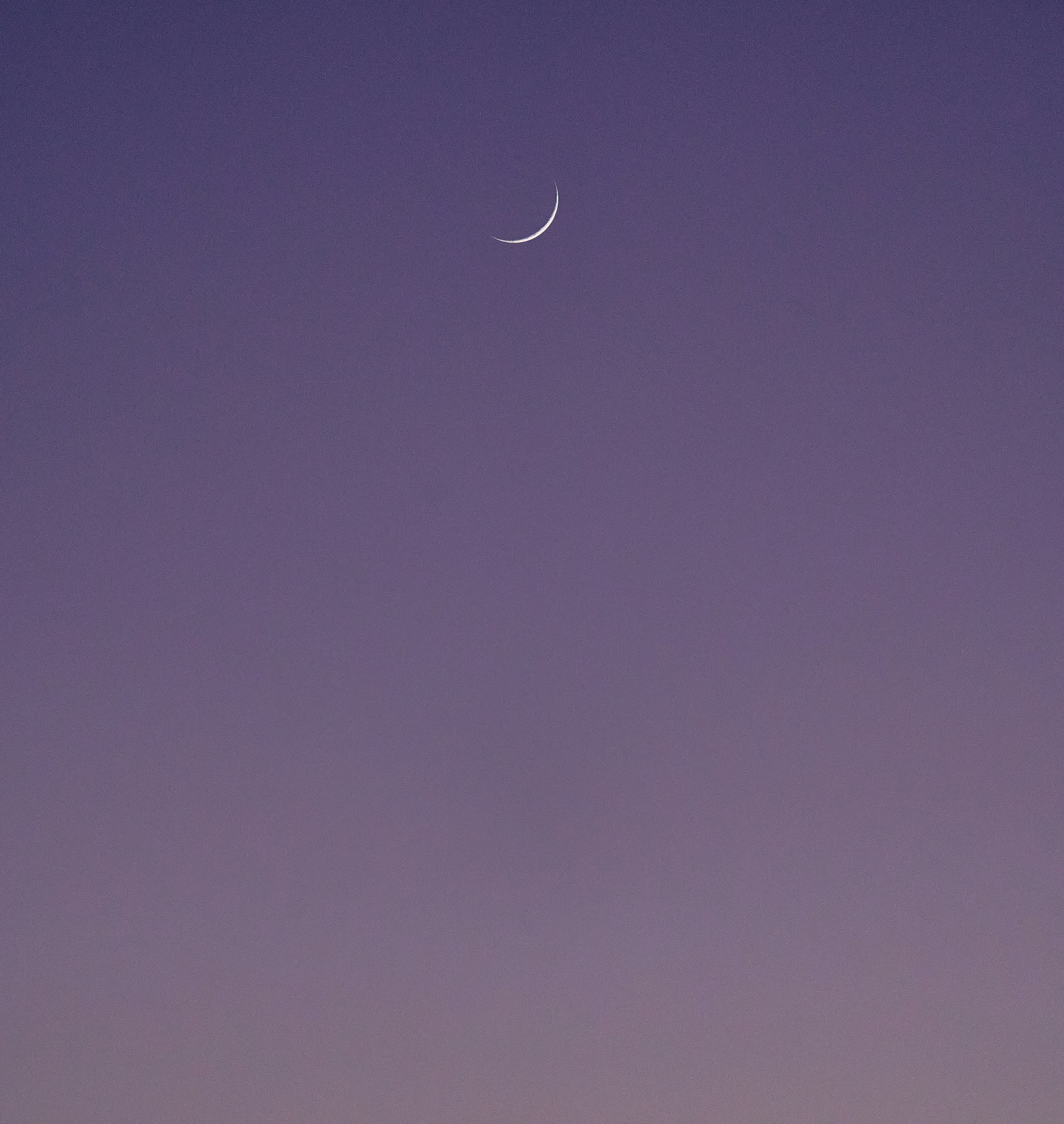 Photo by suicide_chewbacca