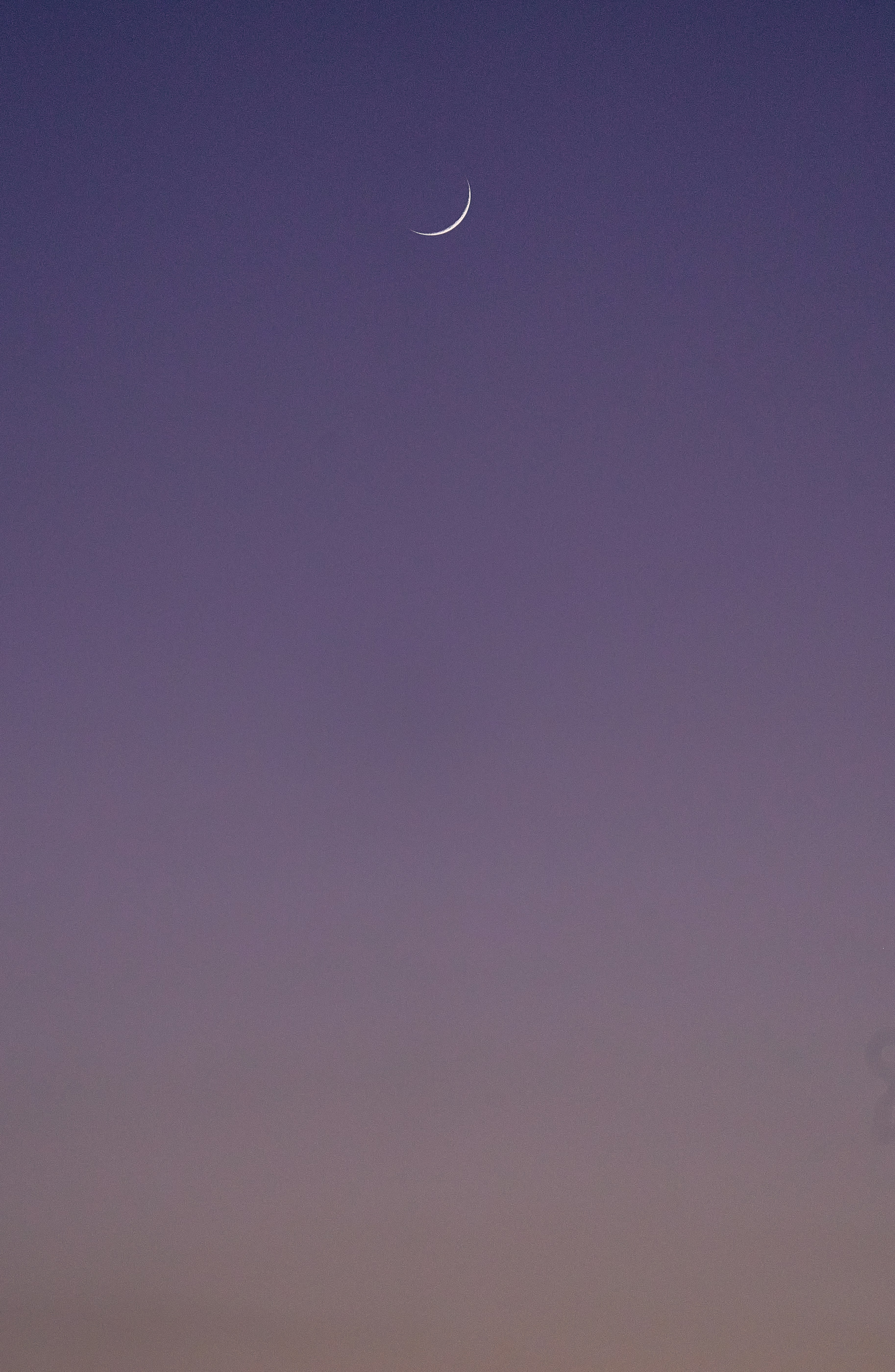 Photo by suicide_chewbacca