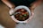 A pair of hands holding a white bowl filled with a hearty stew containing large chunks of meat, cherry tomatoes, and sliced green peppers. A metal spoon is placed inside the bowl, ready for use. The person wearing a gold wristwatch stands against a blurred background.
