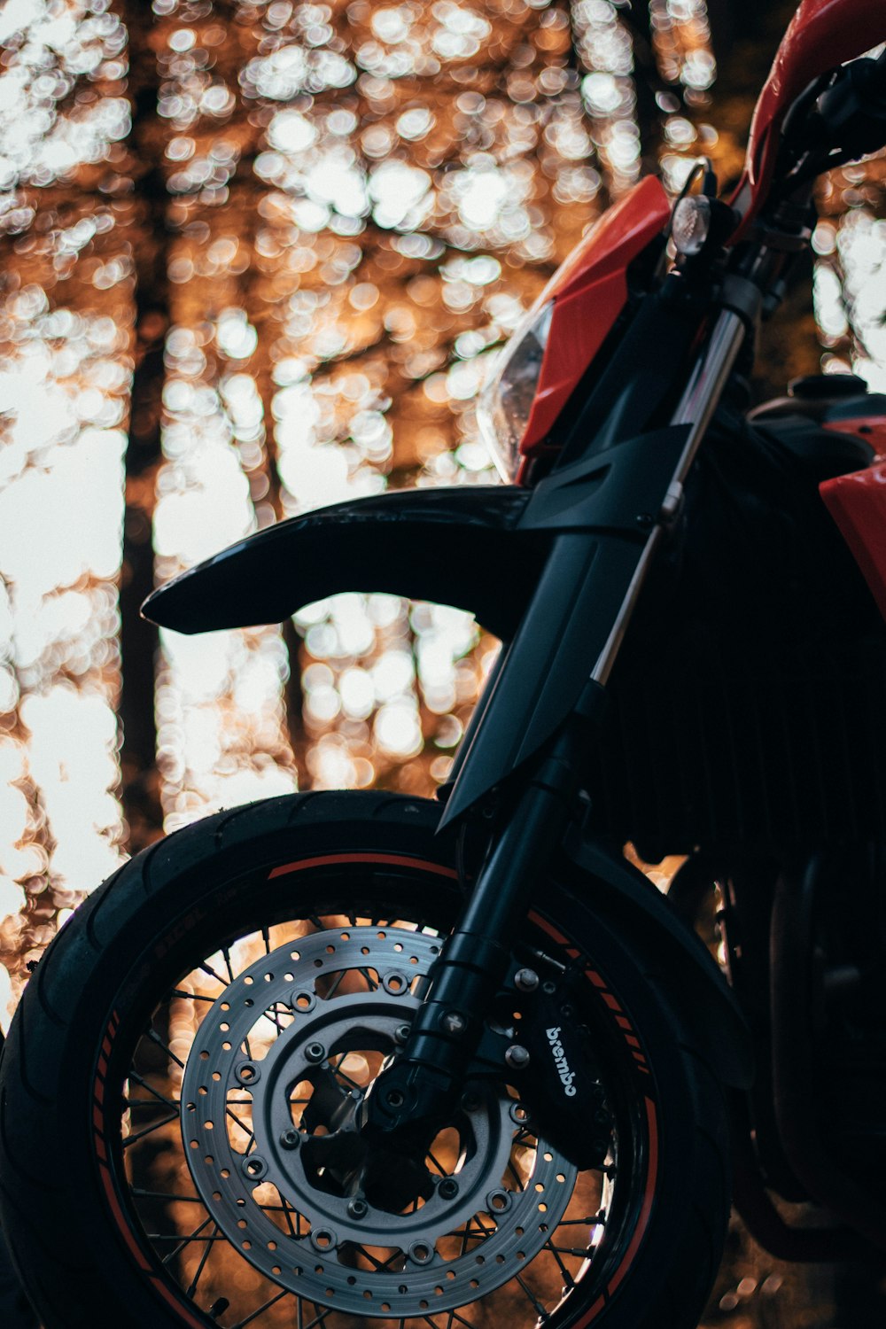 red and black motorcycle near brown tree during daytime