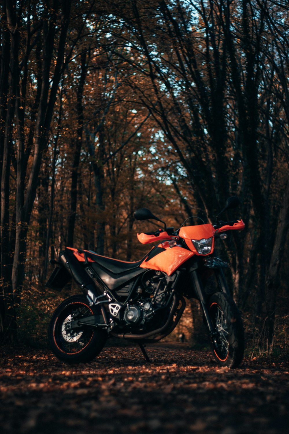 black and red motorcycle parked near trees during daytime