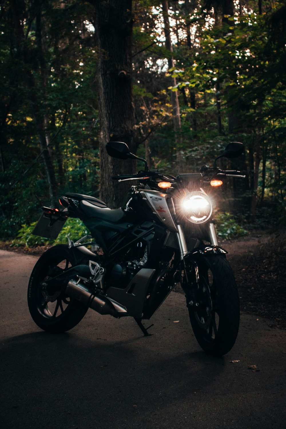 black motorcycle parked on forest during daytime