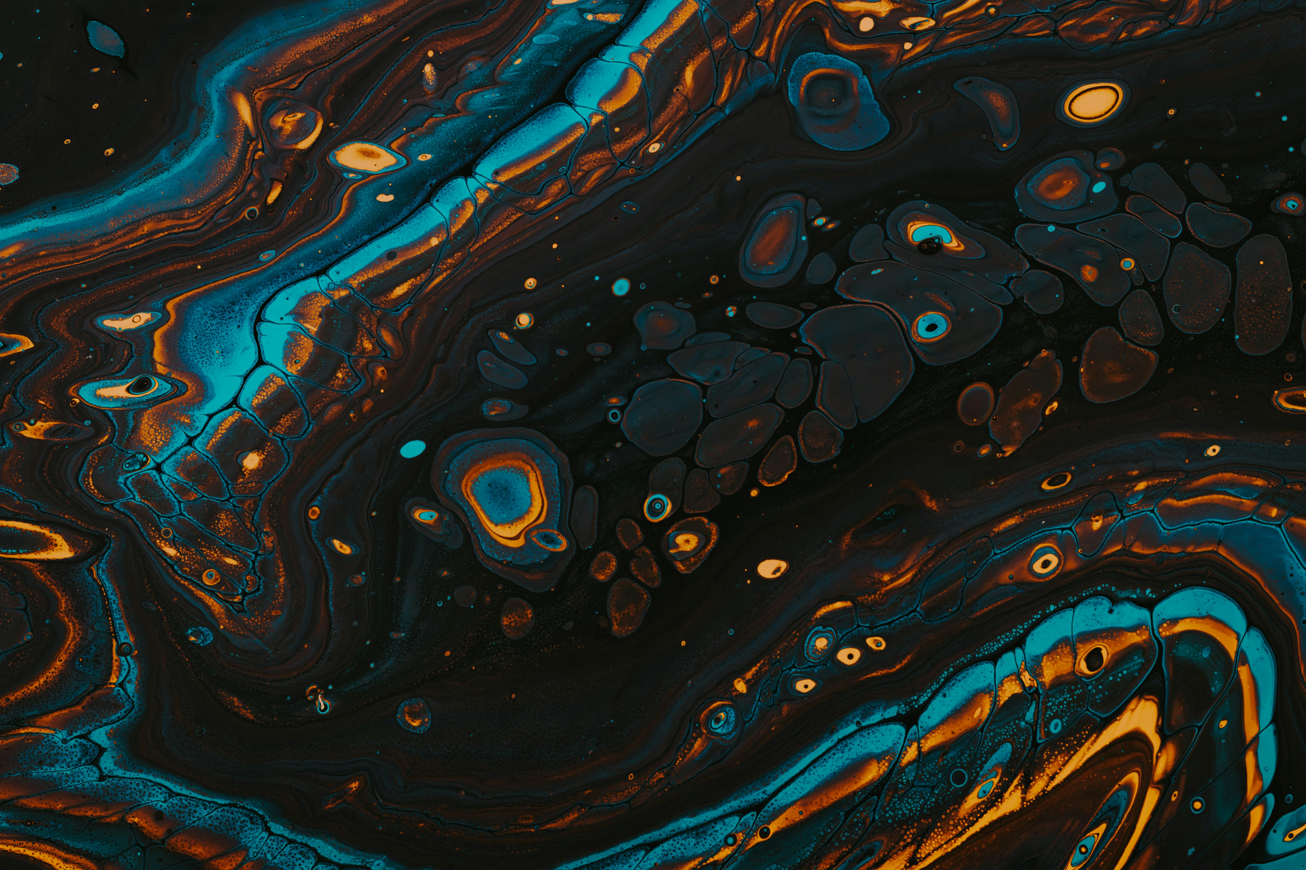 Featured image of post gods-eye-view