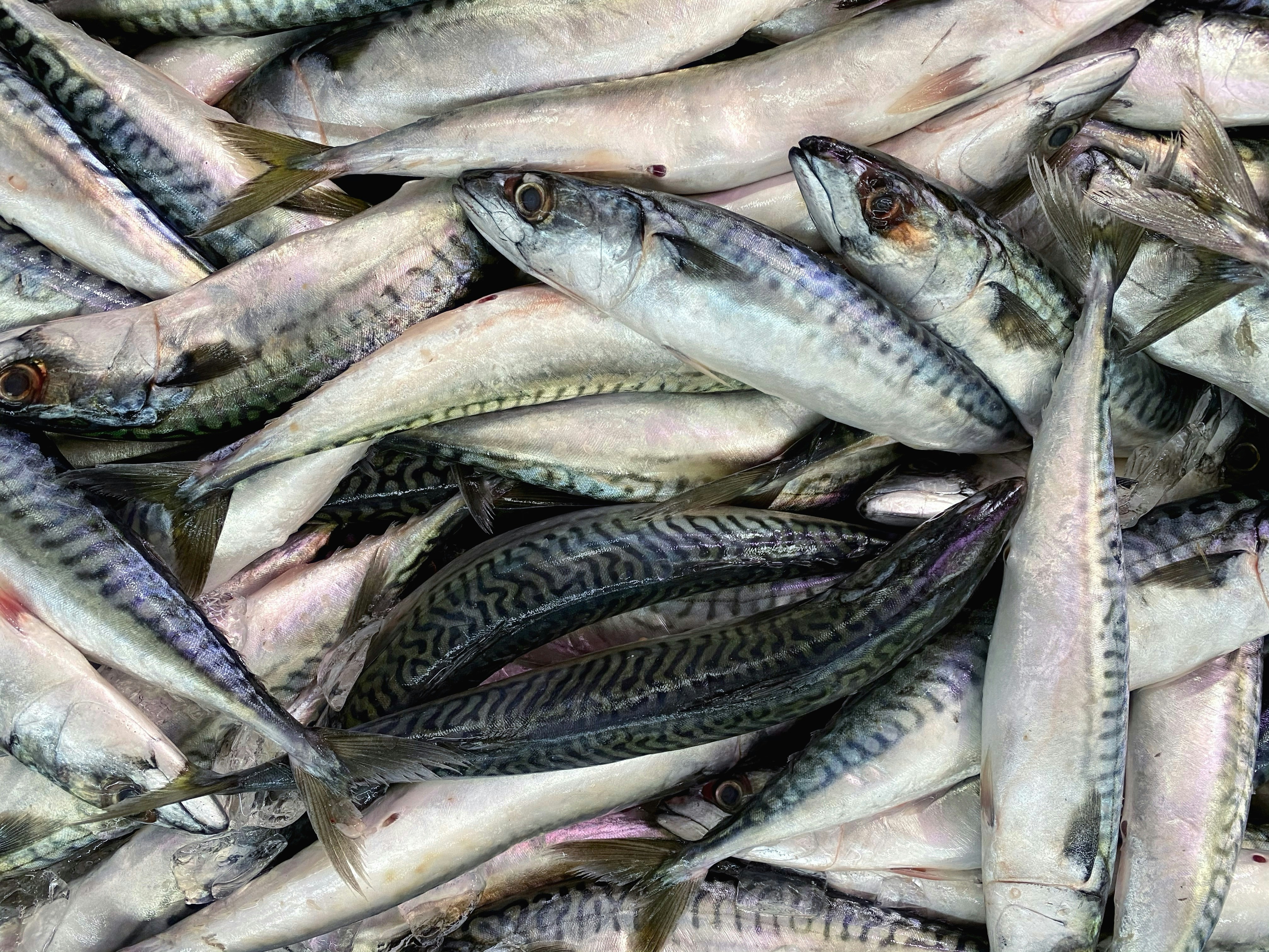 Photo by davidtoddmccarty