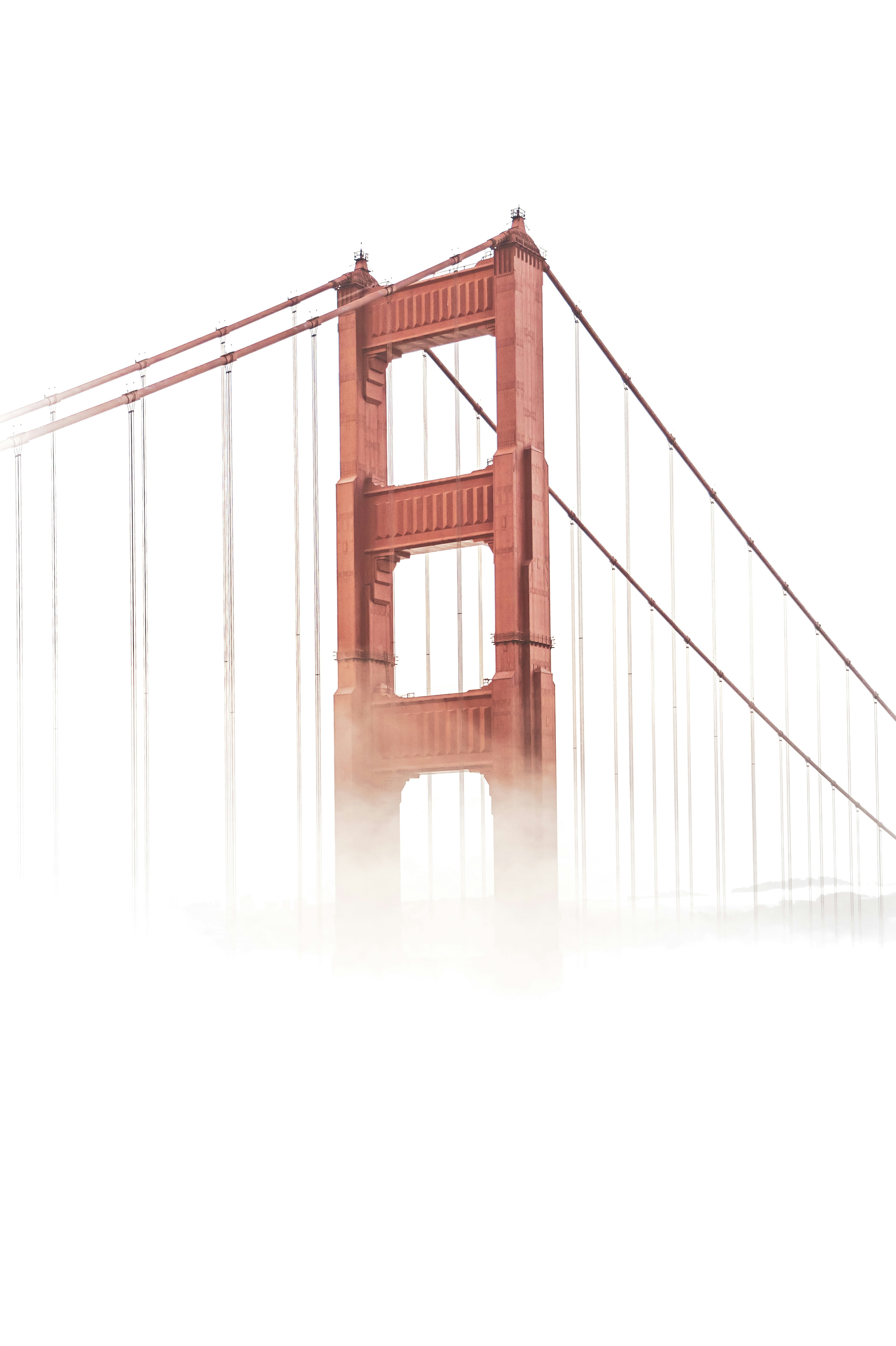 Photo by leo_visions_