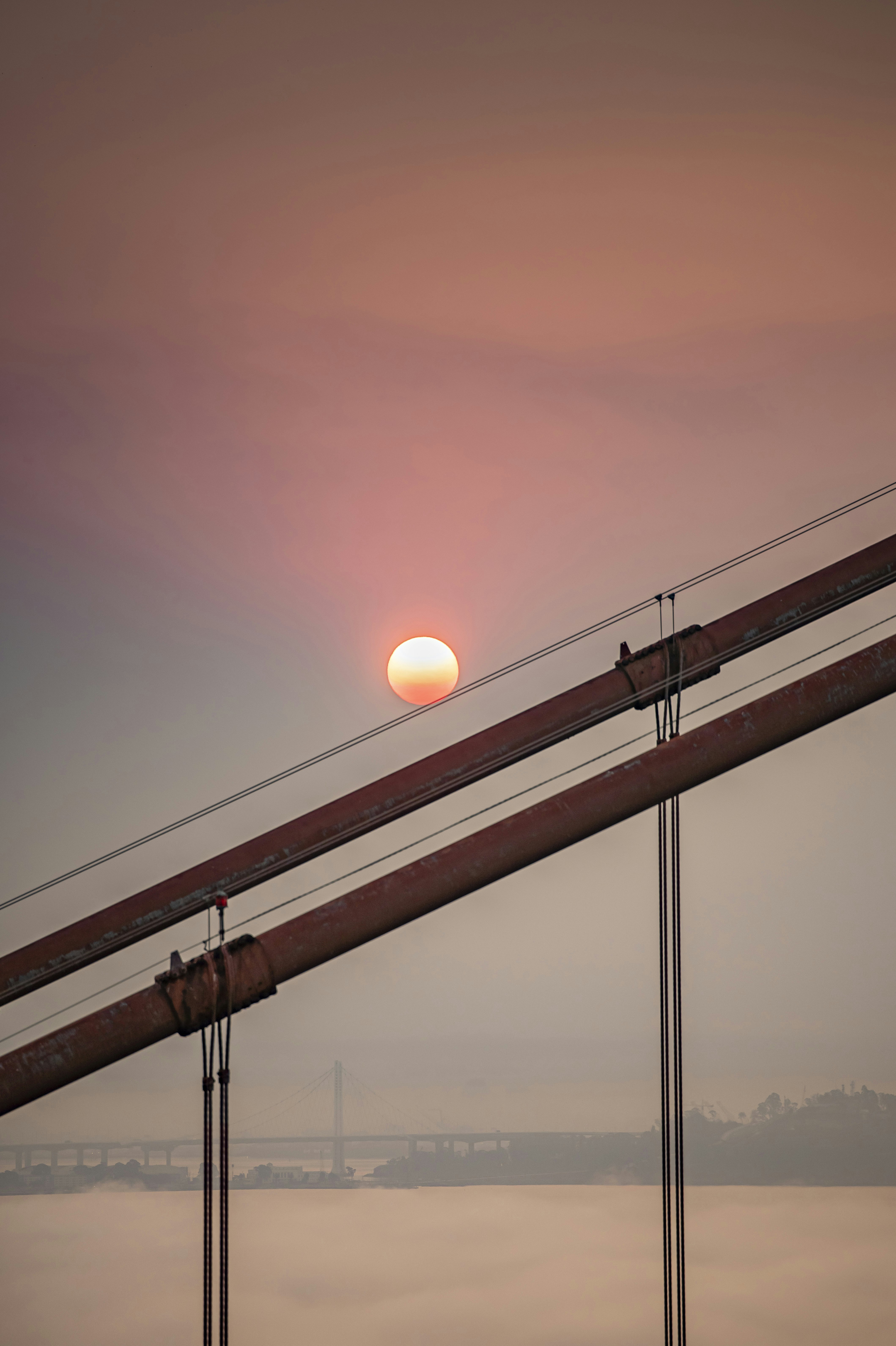 Photo by leo_visions_