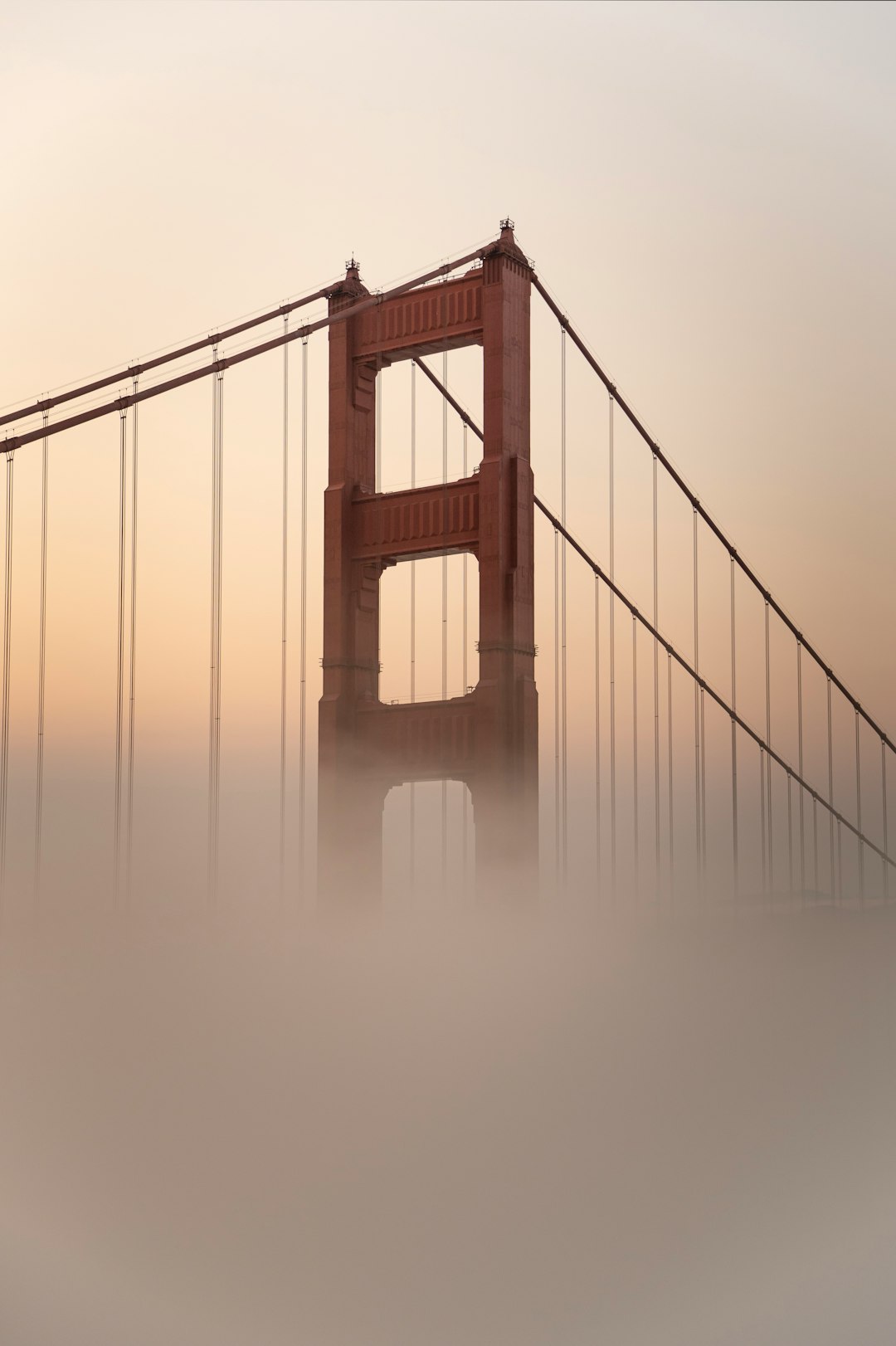 golden gate bridge in grayscale photography