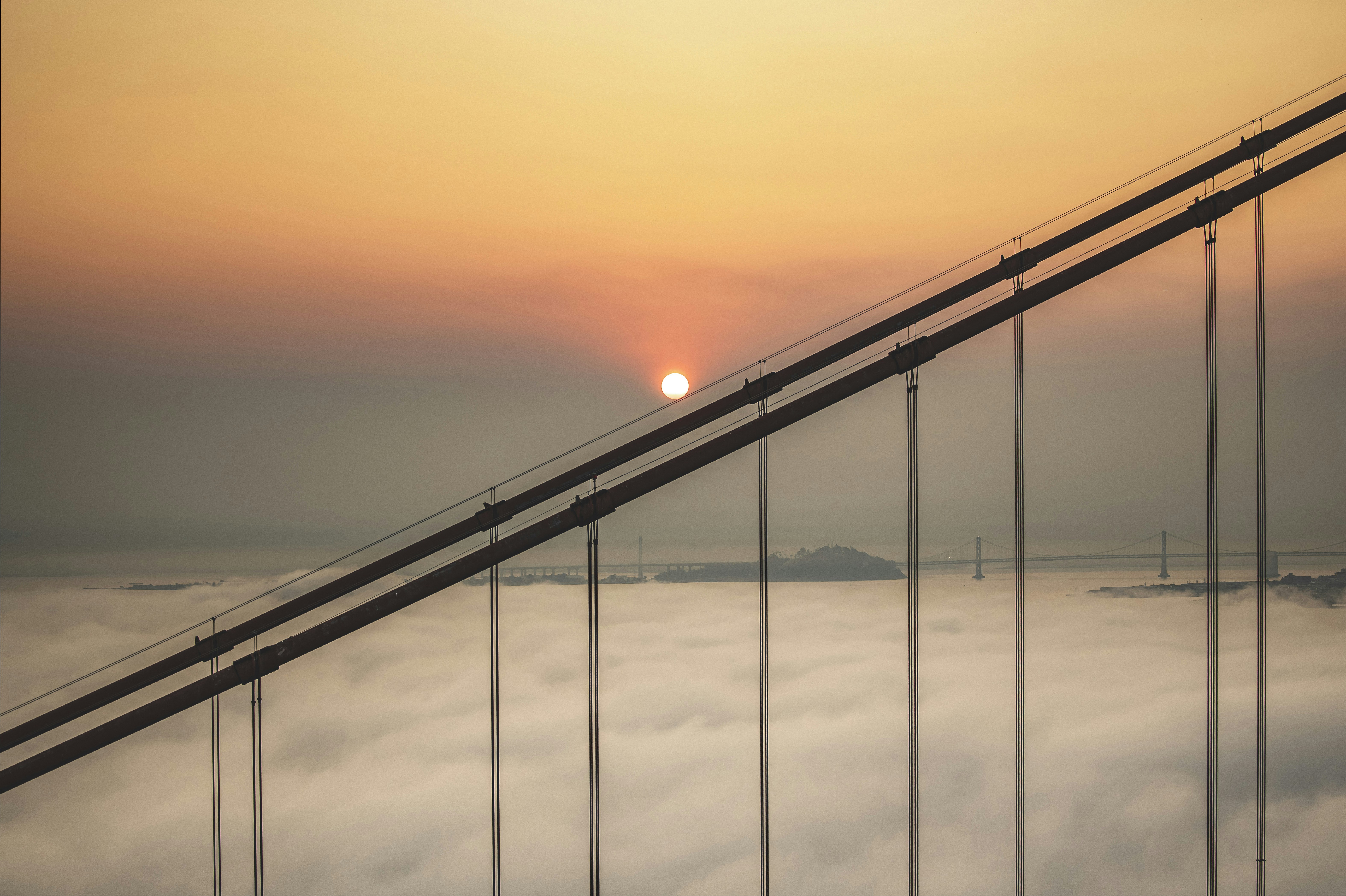 Photo by leo_visions_