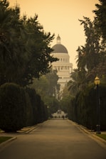 white dome building surrounded by trees