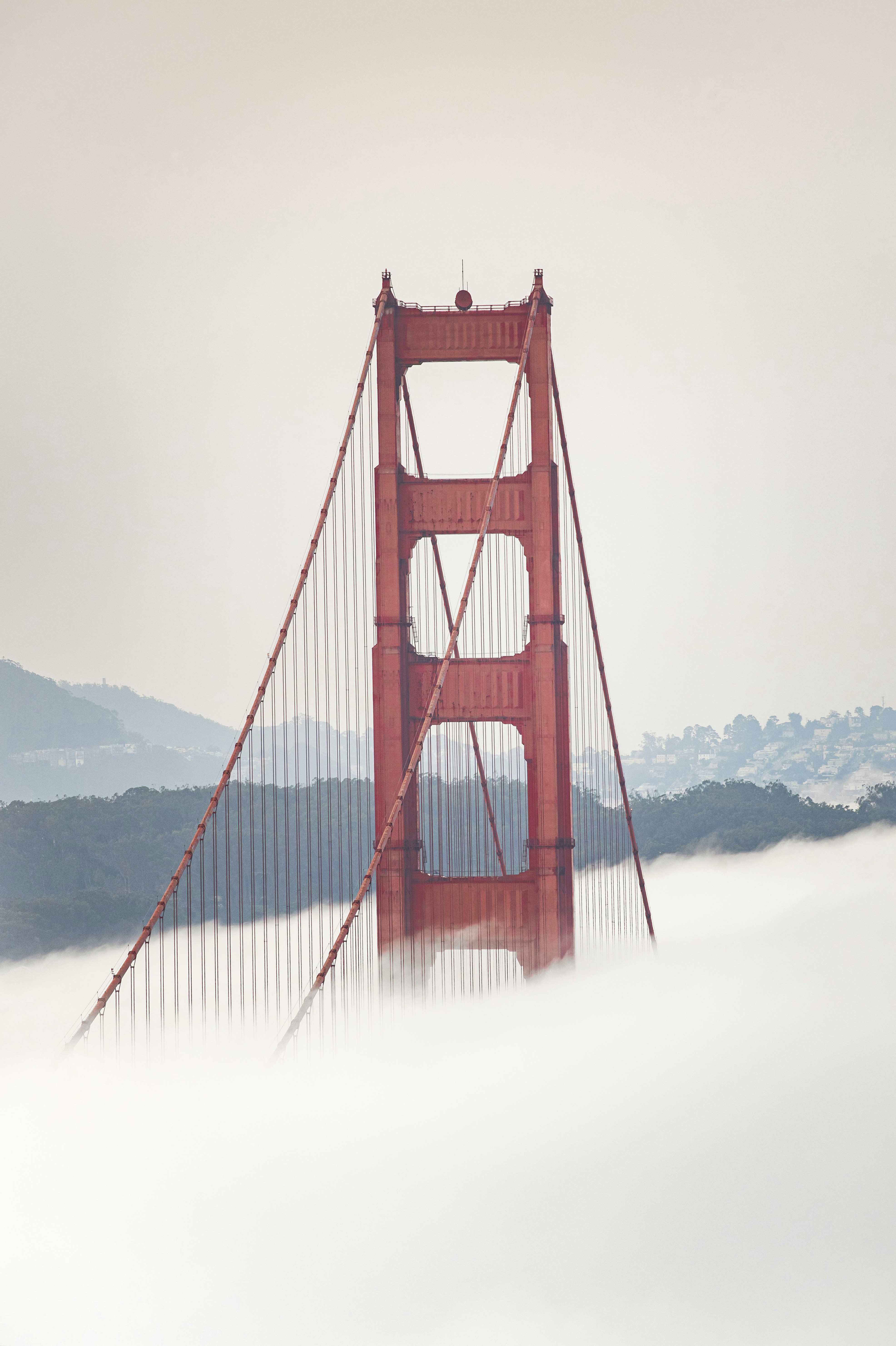 Photo by leo_visions_