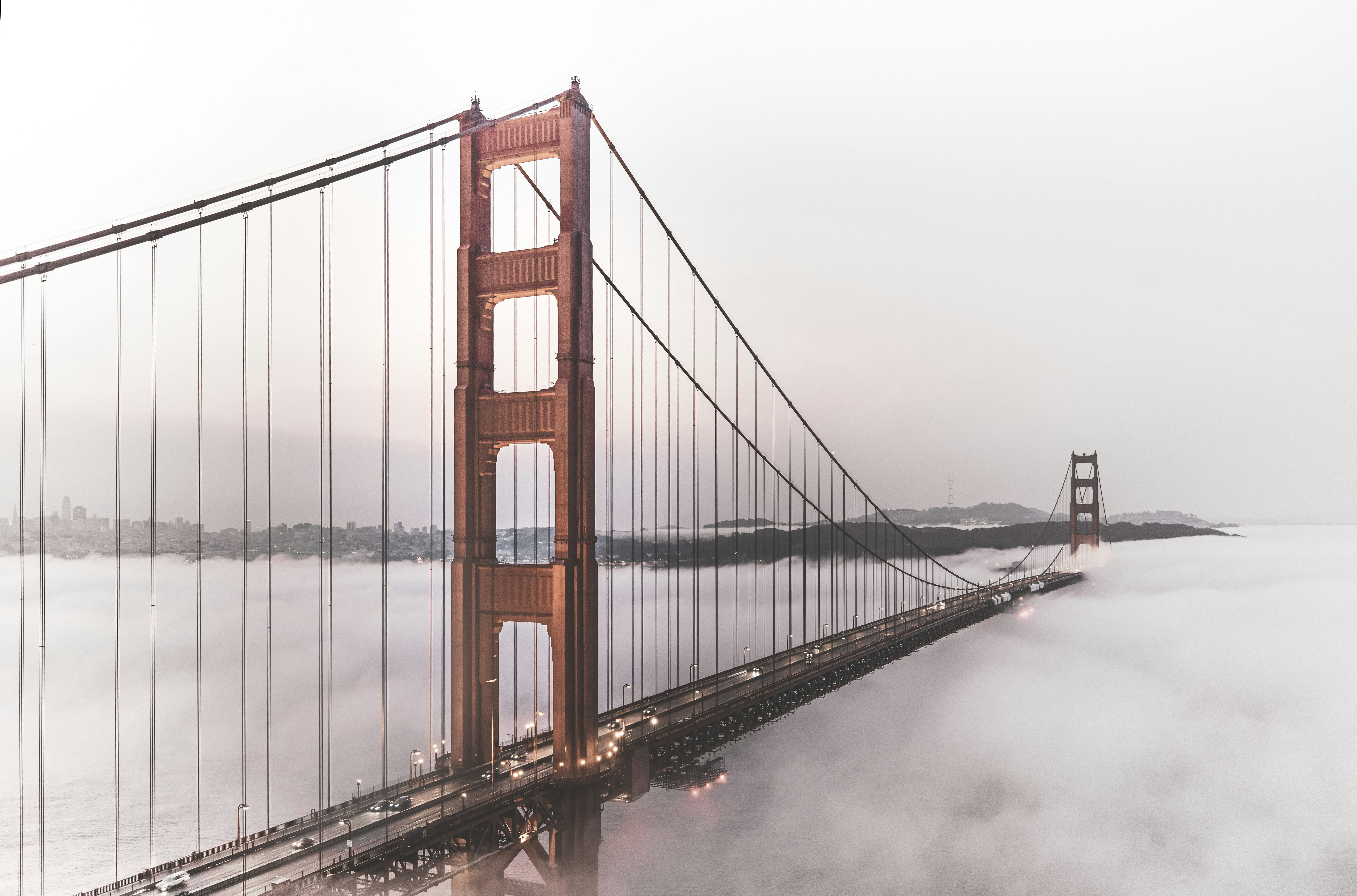 Photo by leo_visions_