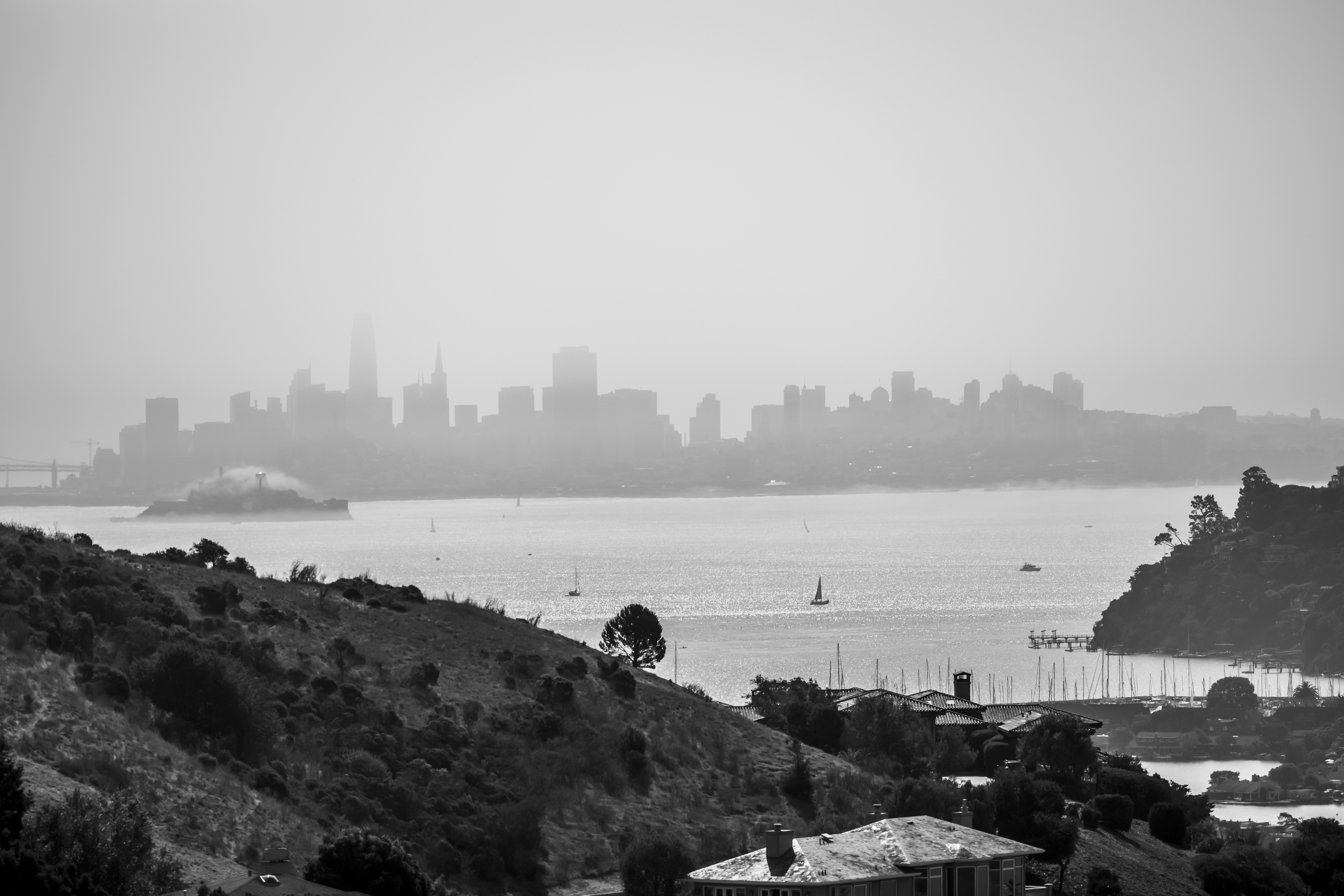 Photo by leo_visions_