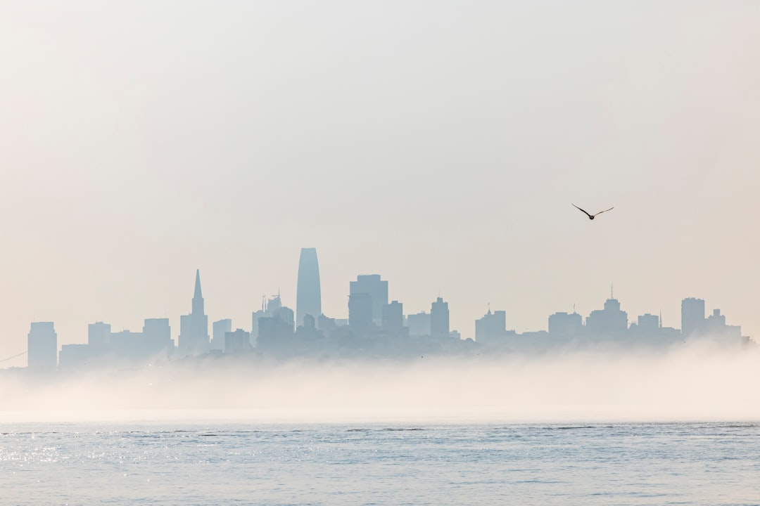 city skyline across body of water during daytime