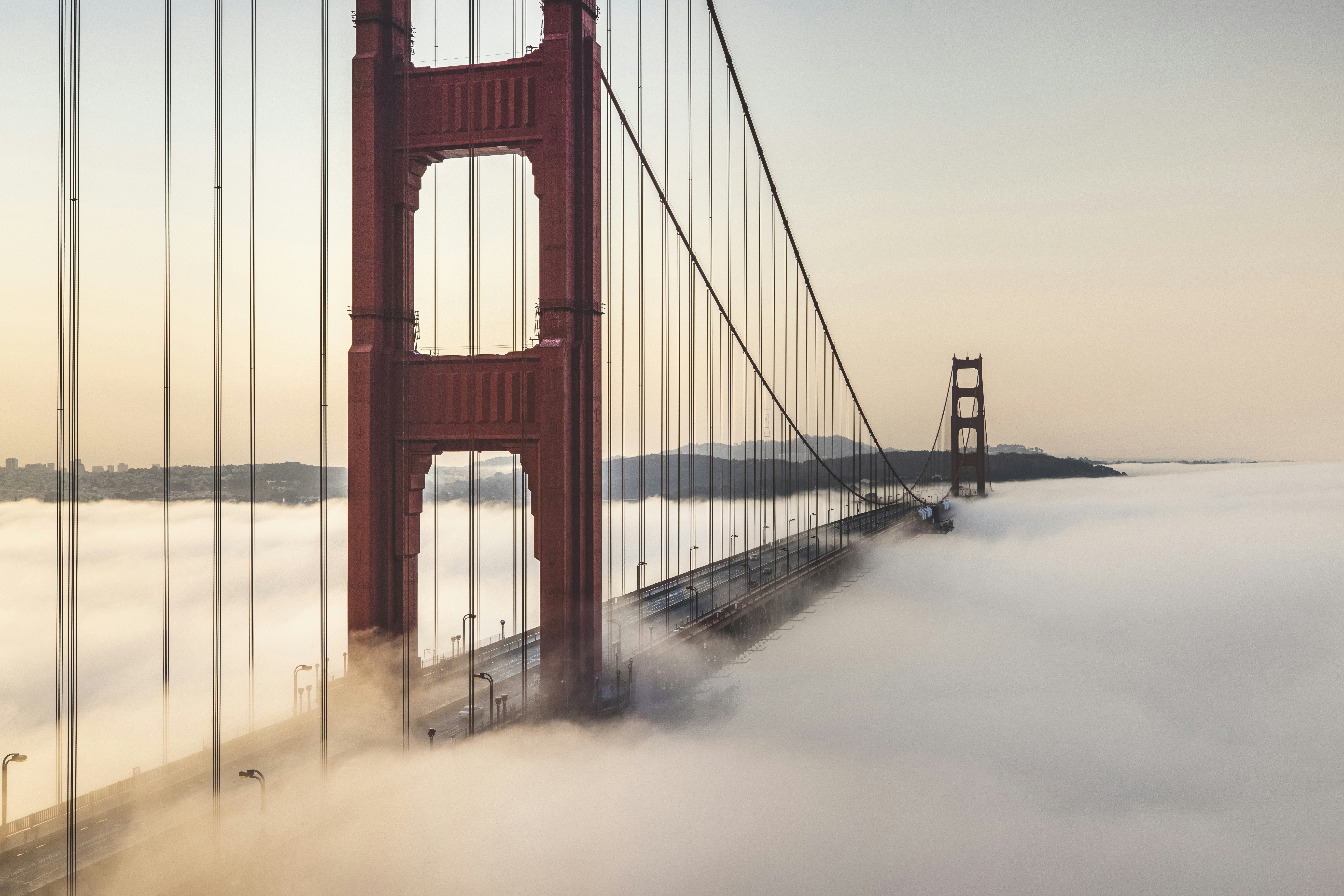 Photo by leo_visions_