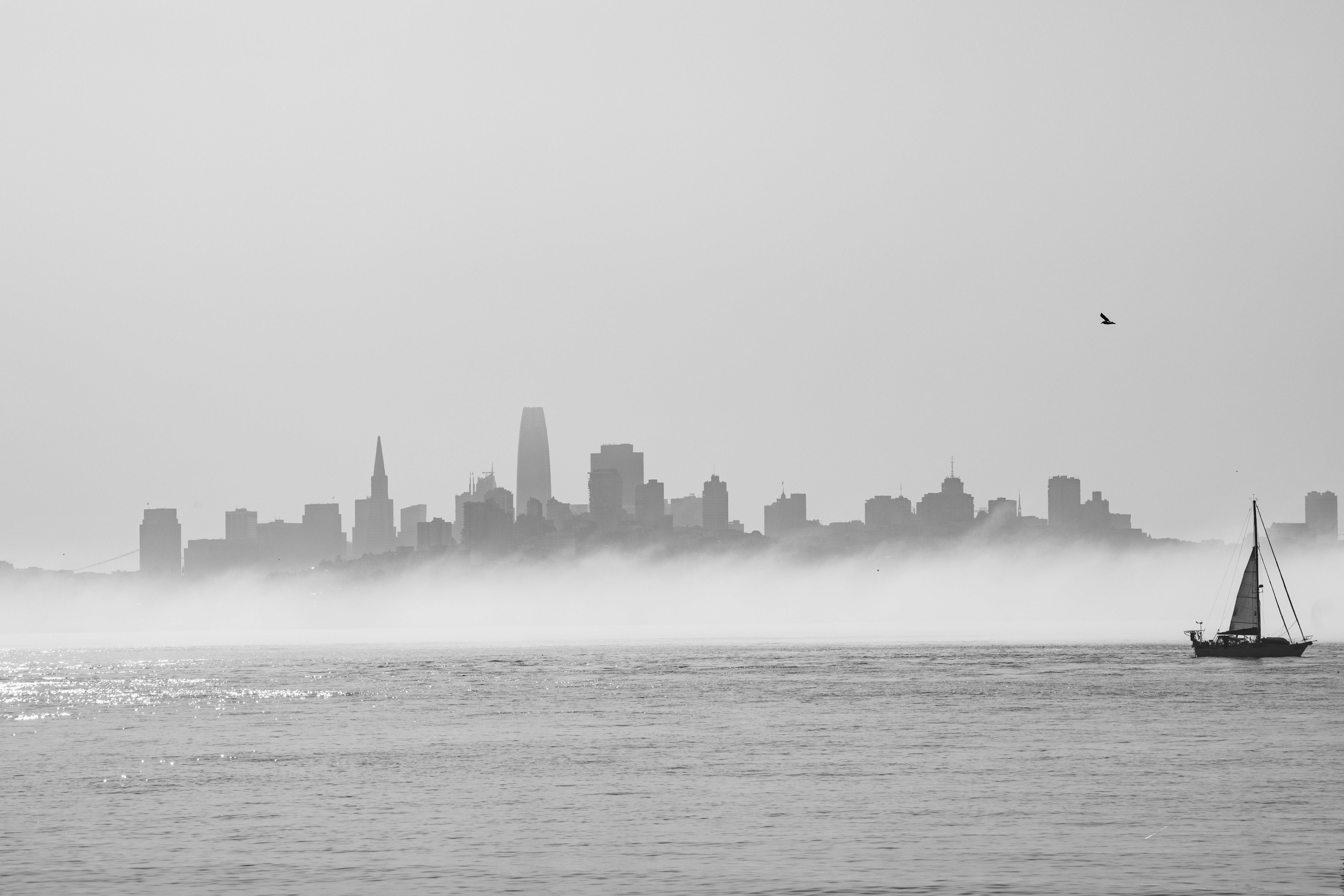 Photo by leo_visions_