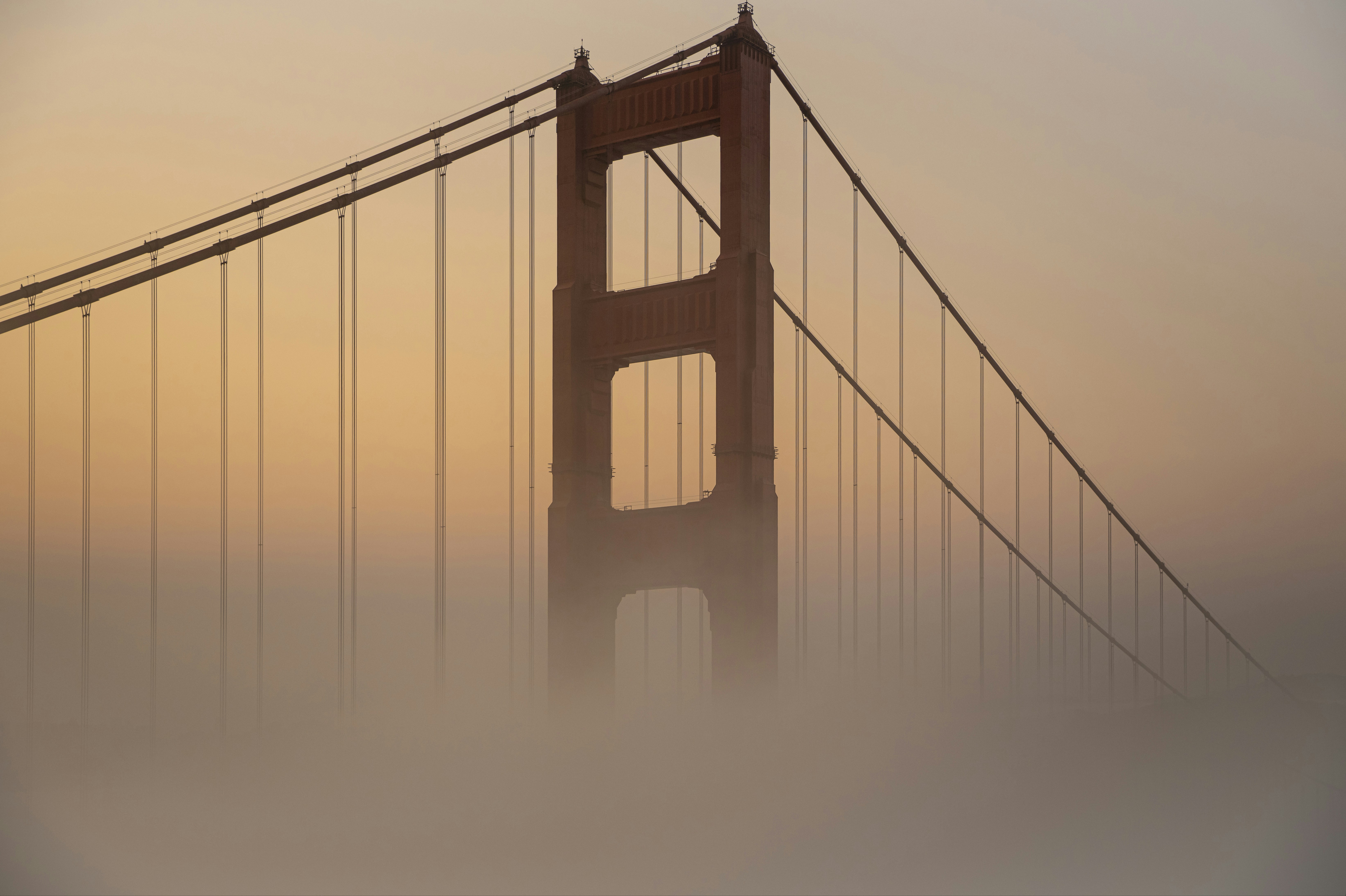 Photo by leo_visions_