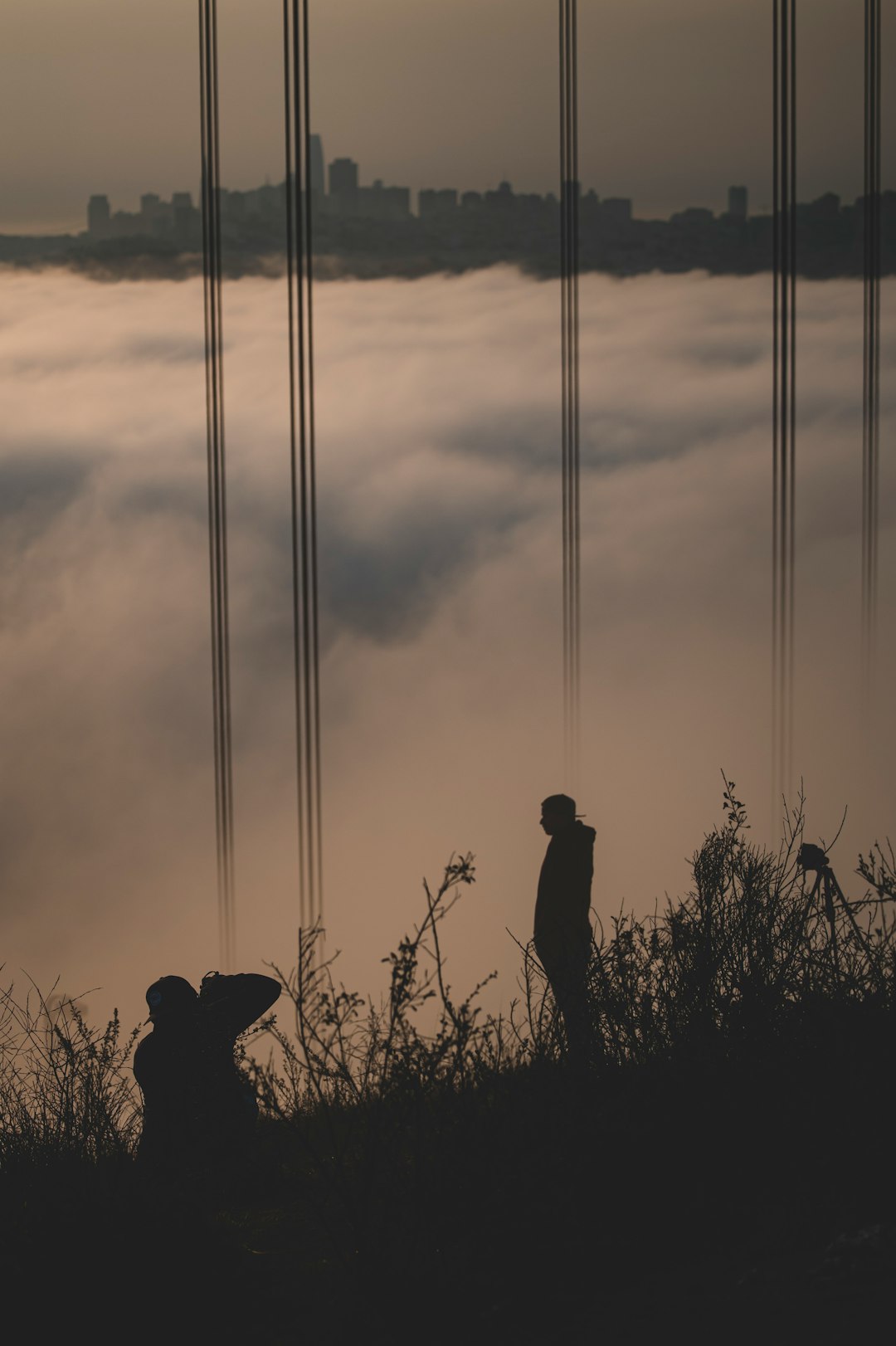 silhouette of 2 person standing on grass field during sunset