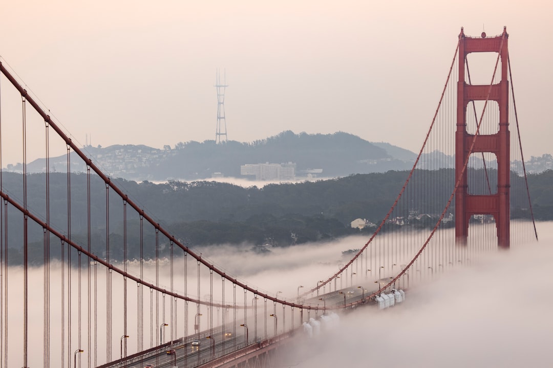 bridge over the river during daytime