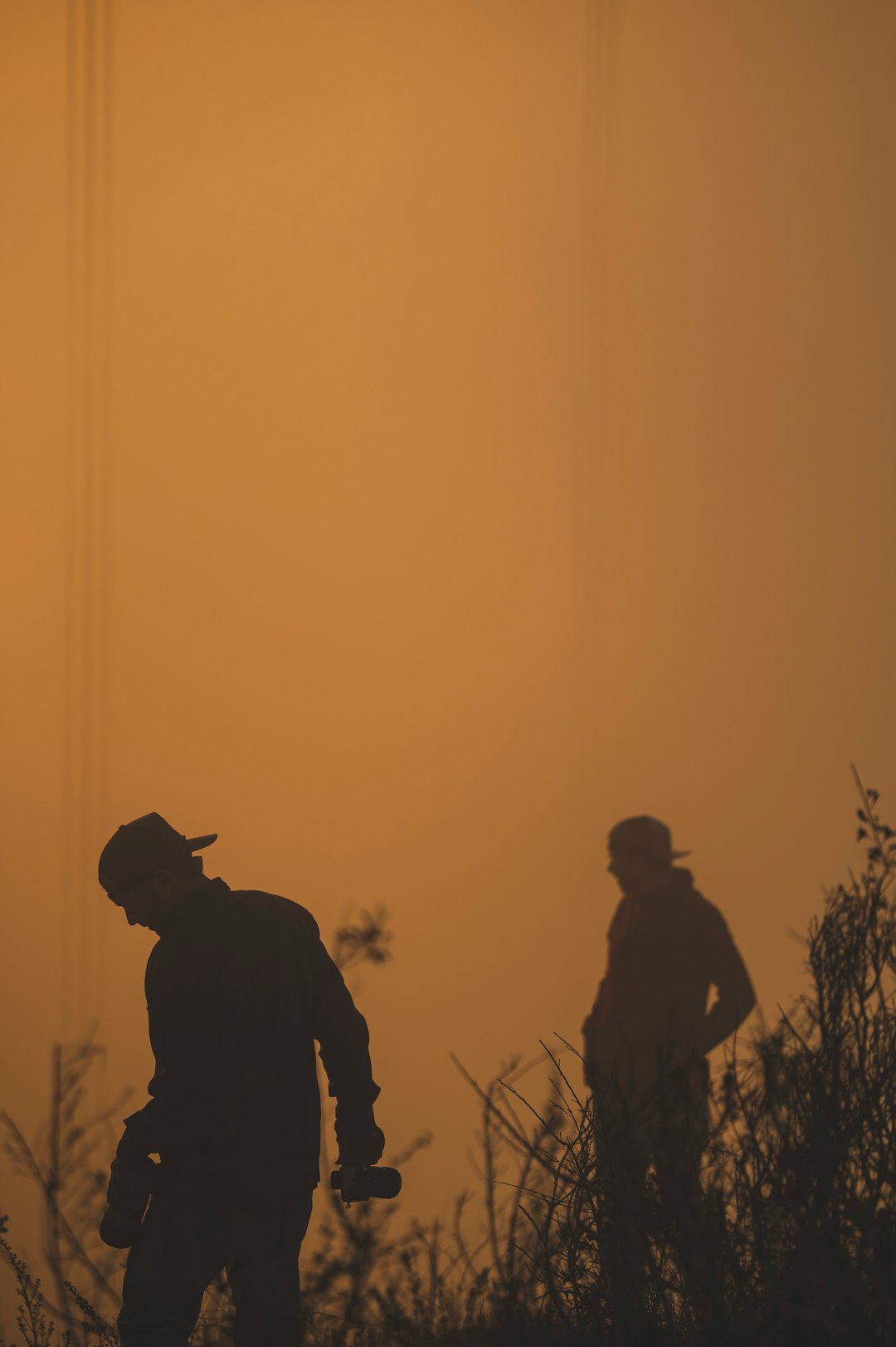 silhouette of 2 men standing on field during sunset