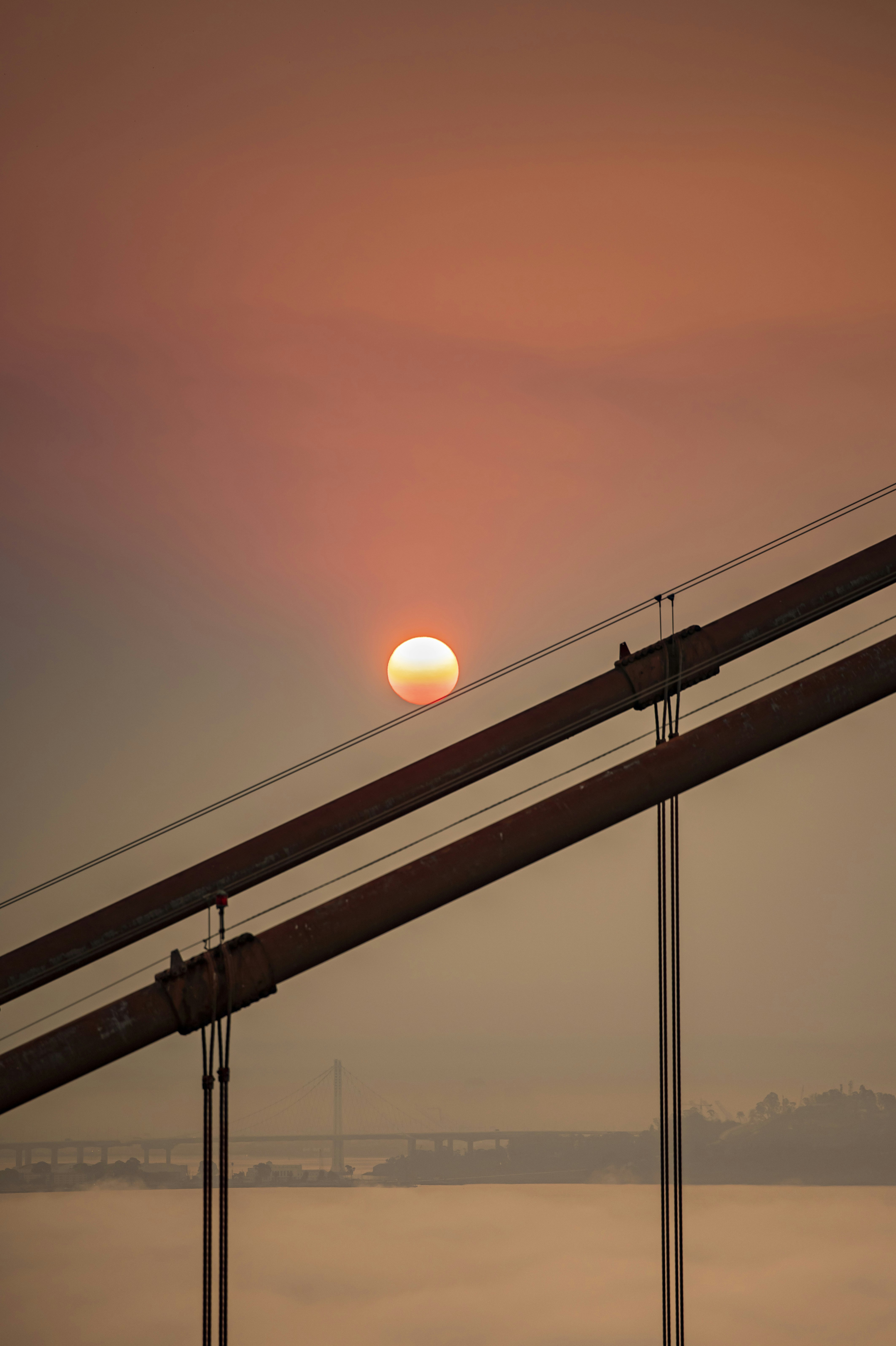 Photo by leo_visions_