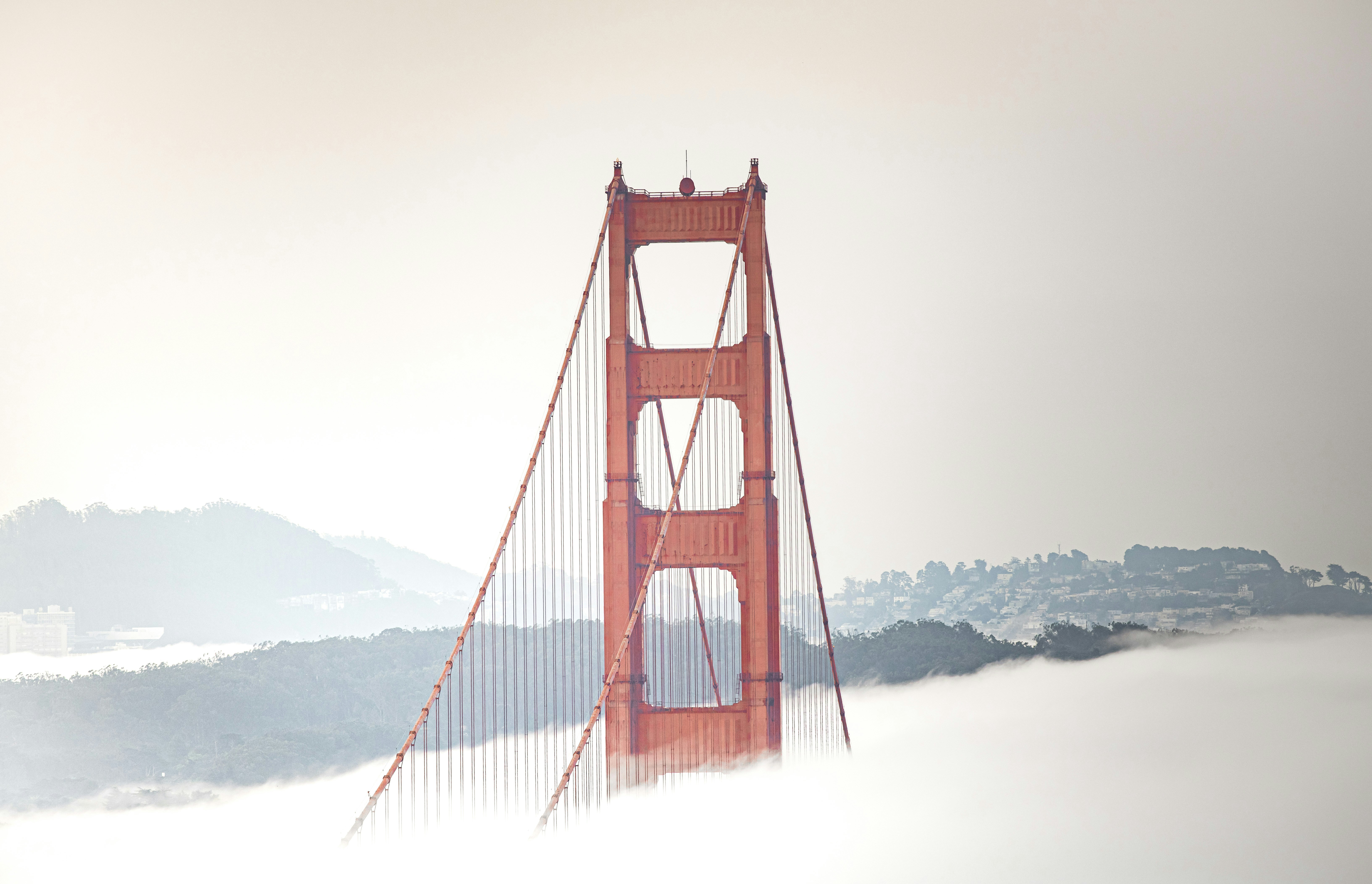 Photo by leo_visions_