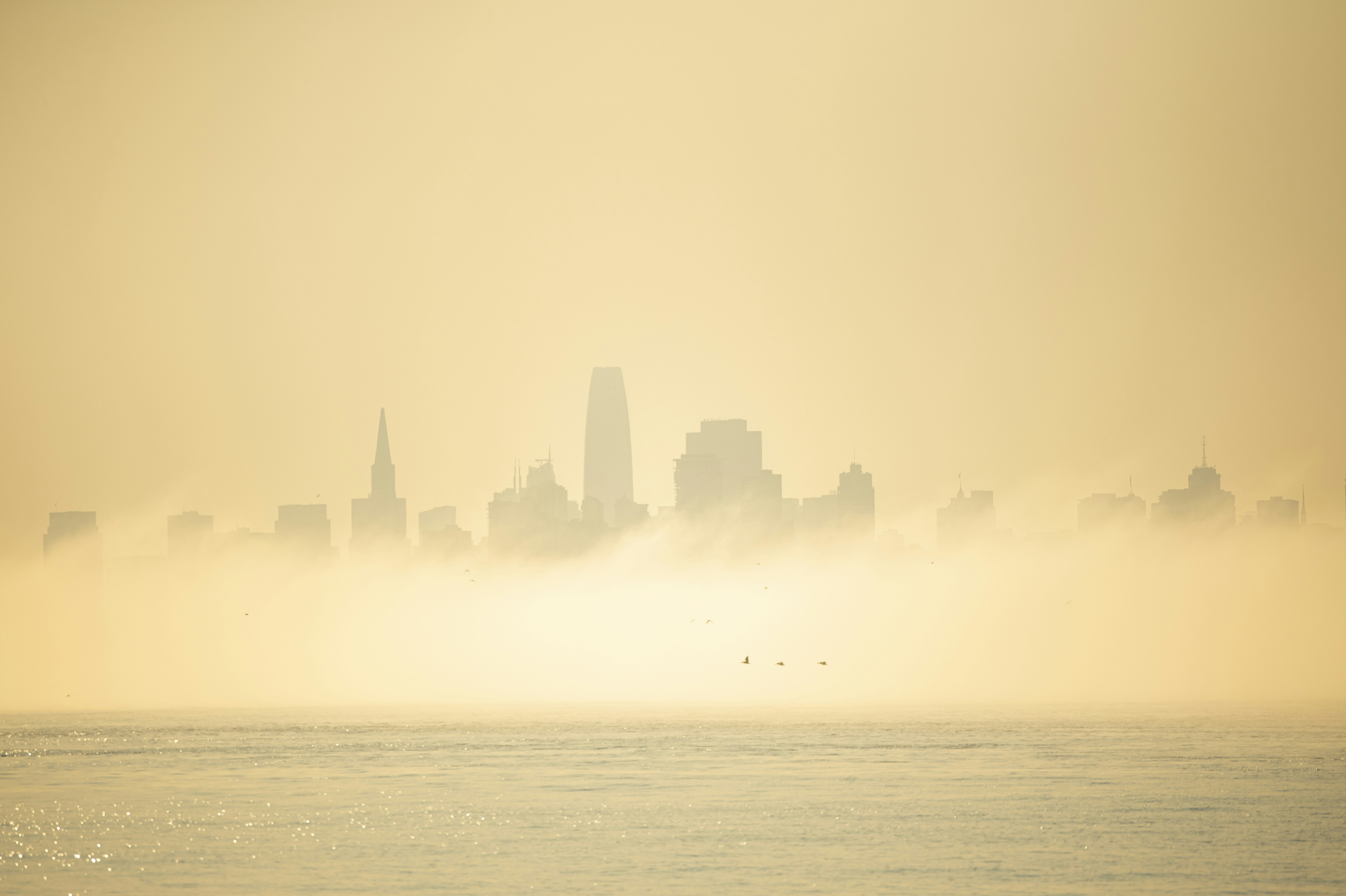 Photo by leo_visions_