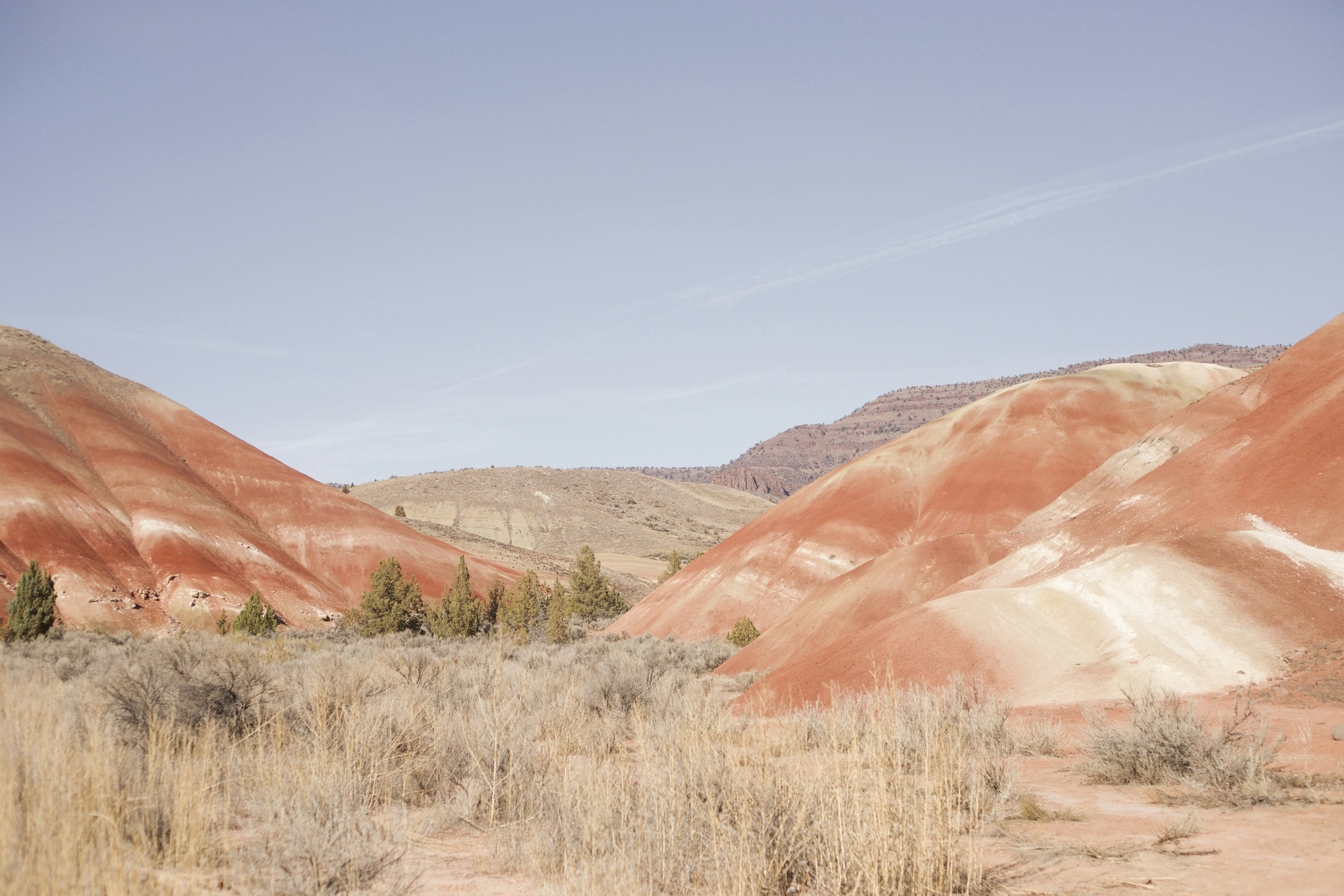 Photo by christinadnguyen