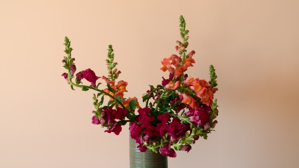 red and green plant on gray vase