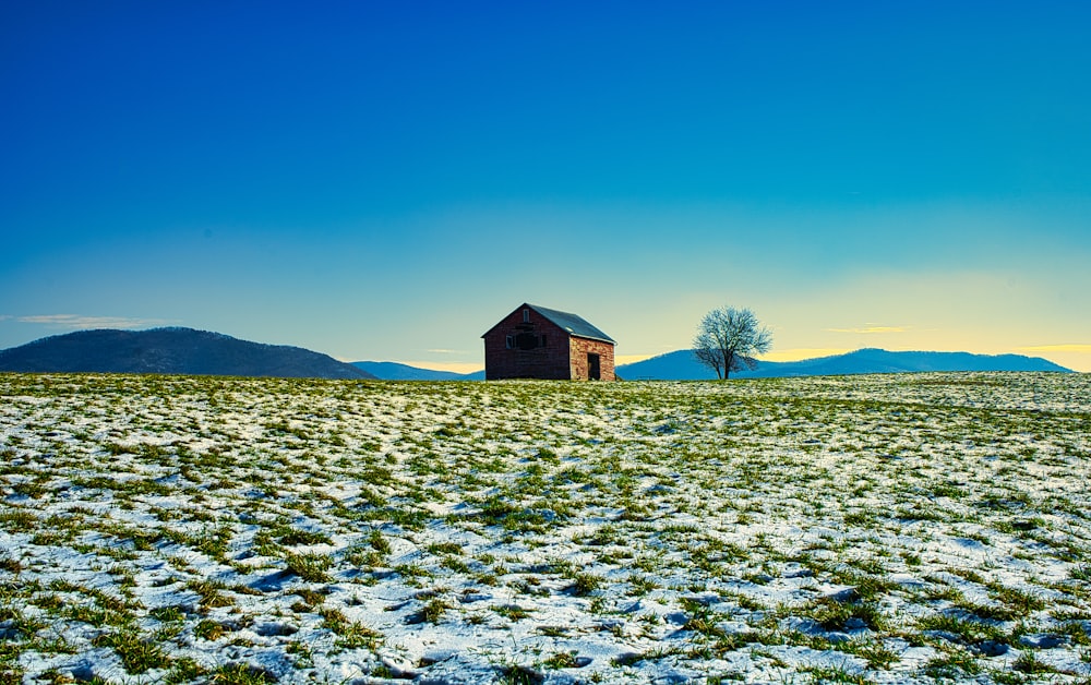 brown wooden house on snow covered ground under blue sky during daytime