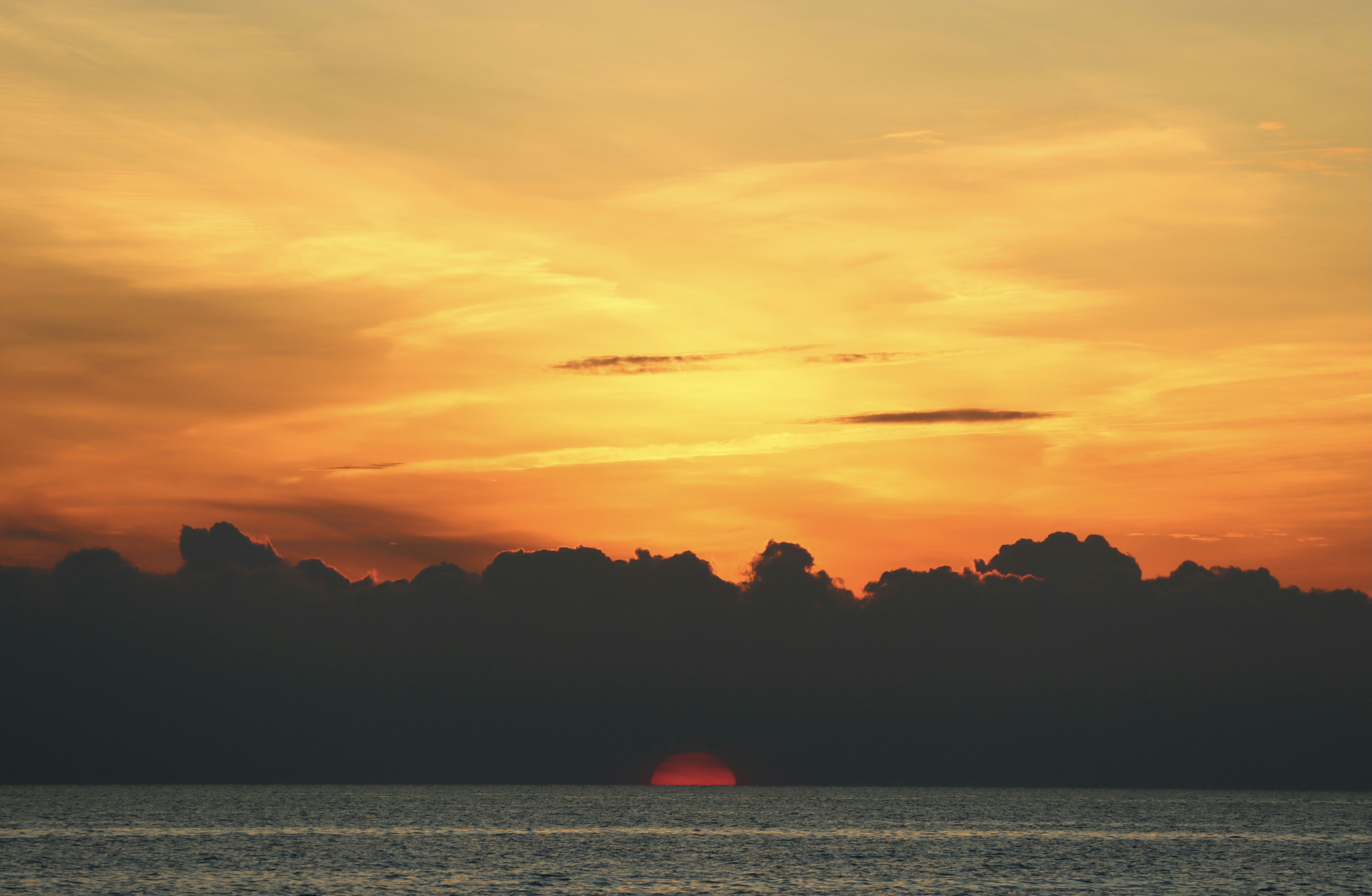 Photo by giuliagrani