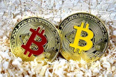 Pudgy World Unveils 12 Virtual Towns: PENGU Token Soars 9%