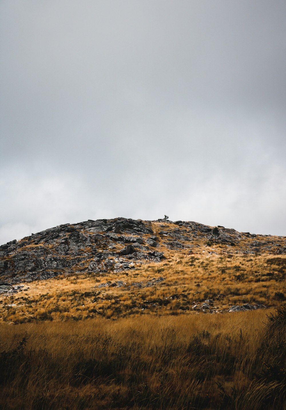 brown grass field near brown mountain under white clouds during daytime