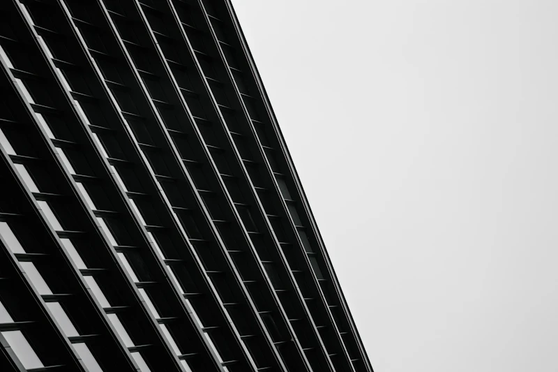 Recomandare: 6 exemple de site-uri cu un design alb-negru