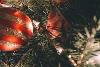 Close-up of shiny red and gold baubles hanging on a lush green Christmas tree.