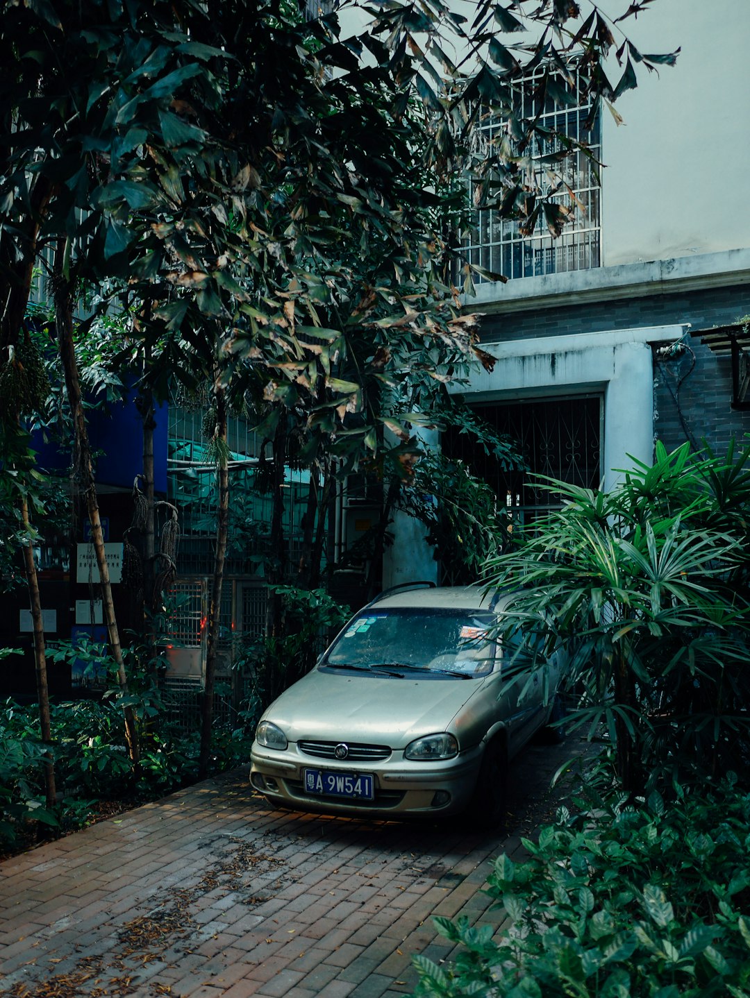 silver mercedes benz car parked beside green plants