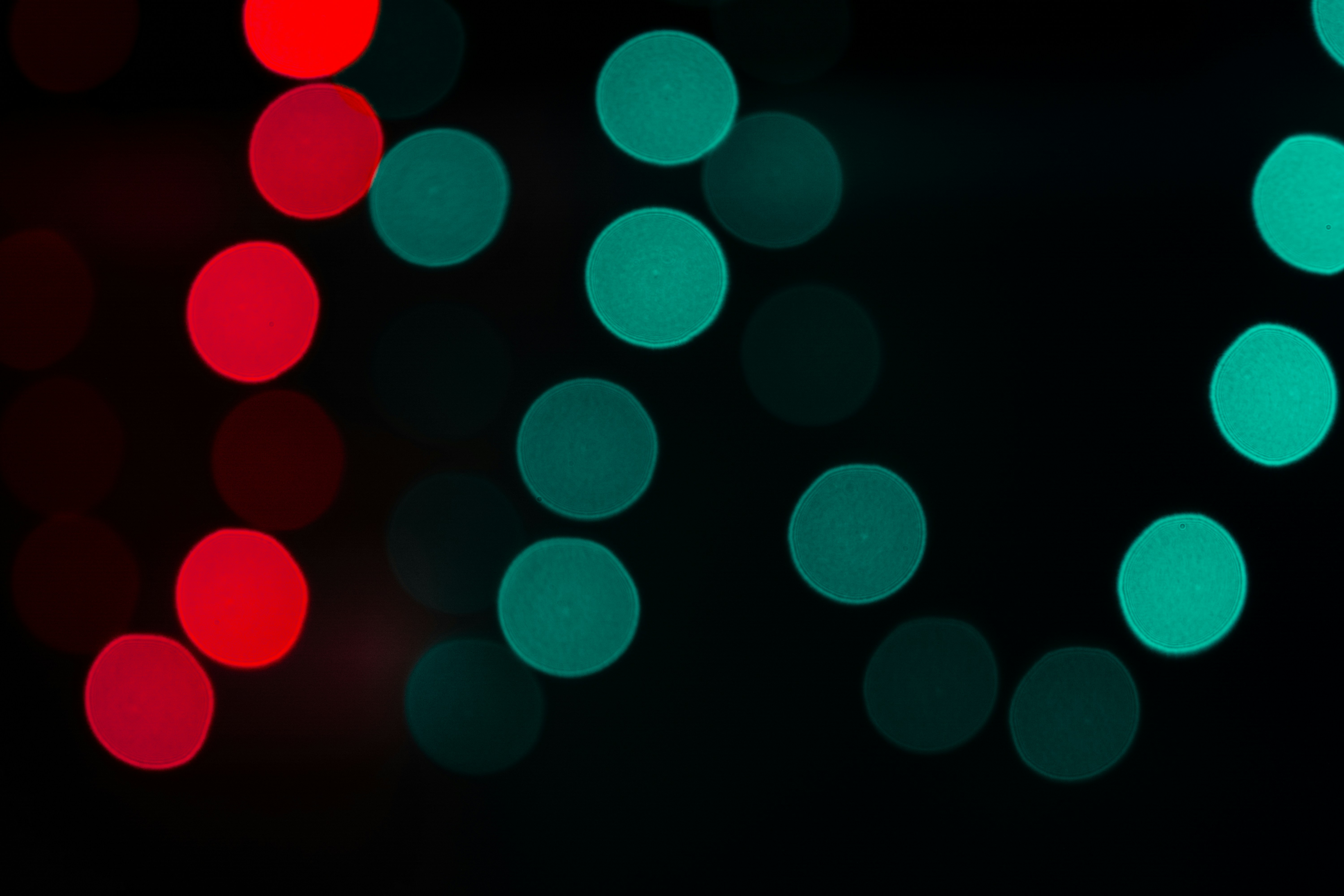 Photo by thilak_cm212