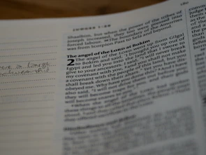 Close-up of an open book showing elegant typography and a handwritten note.