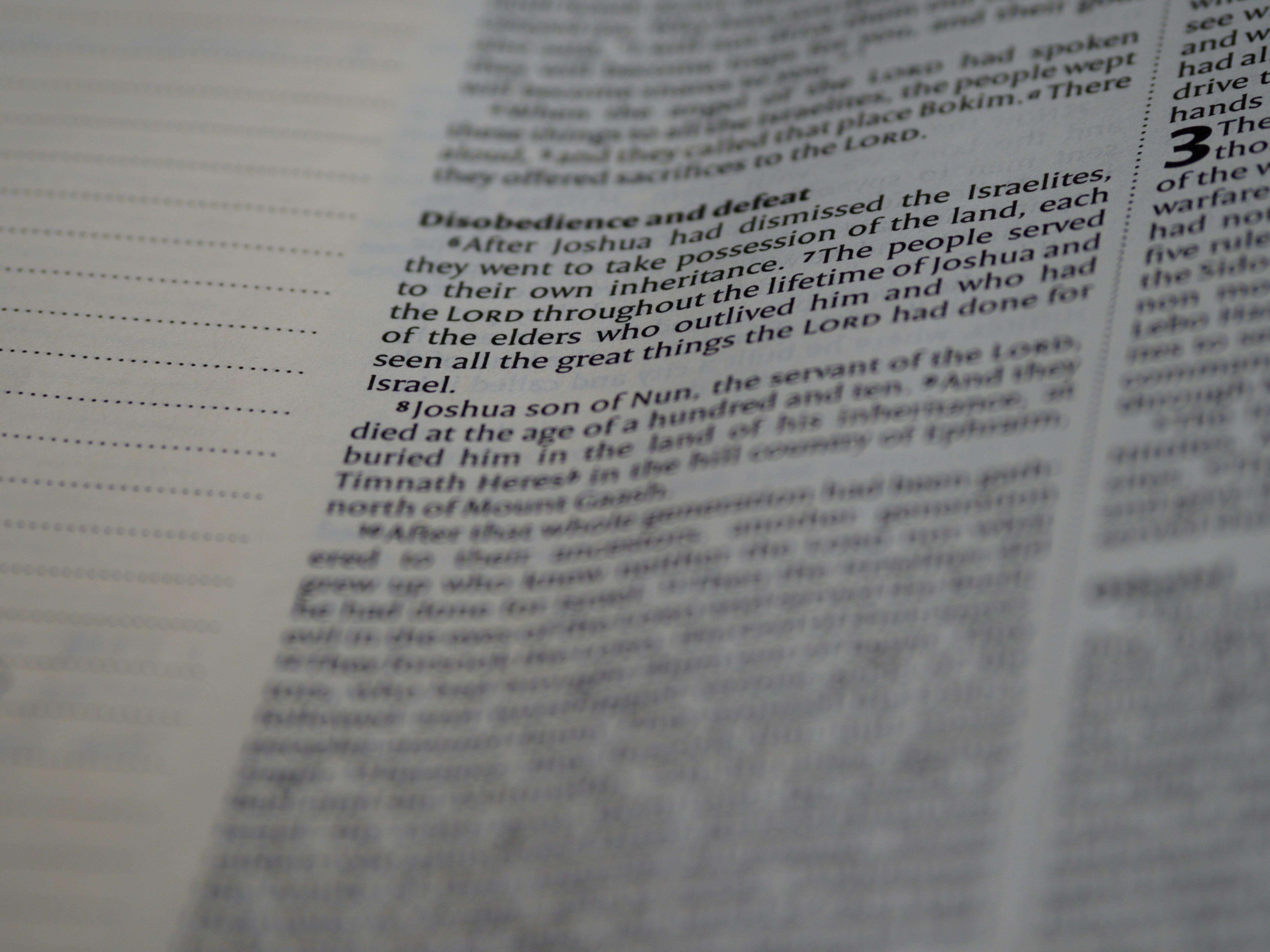 Photo by brett_jordan