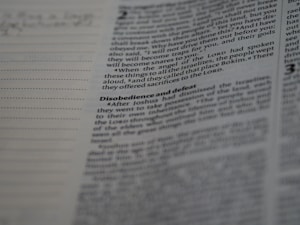 PDF Editor Pro