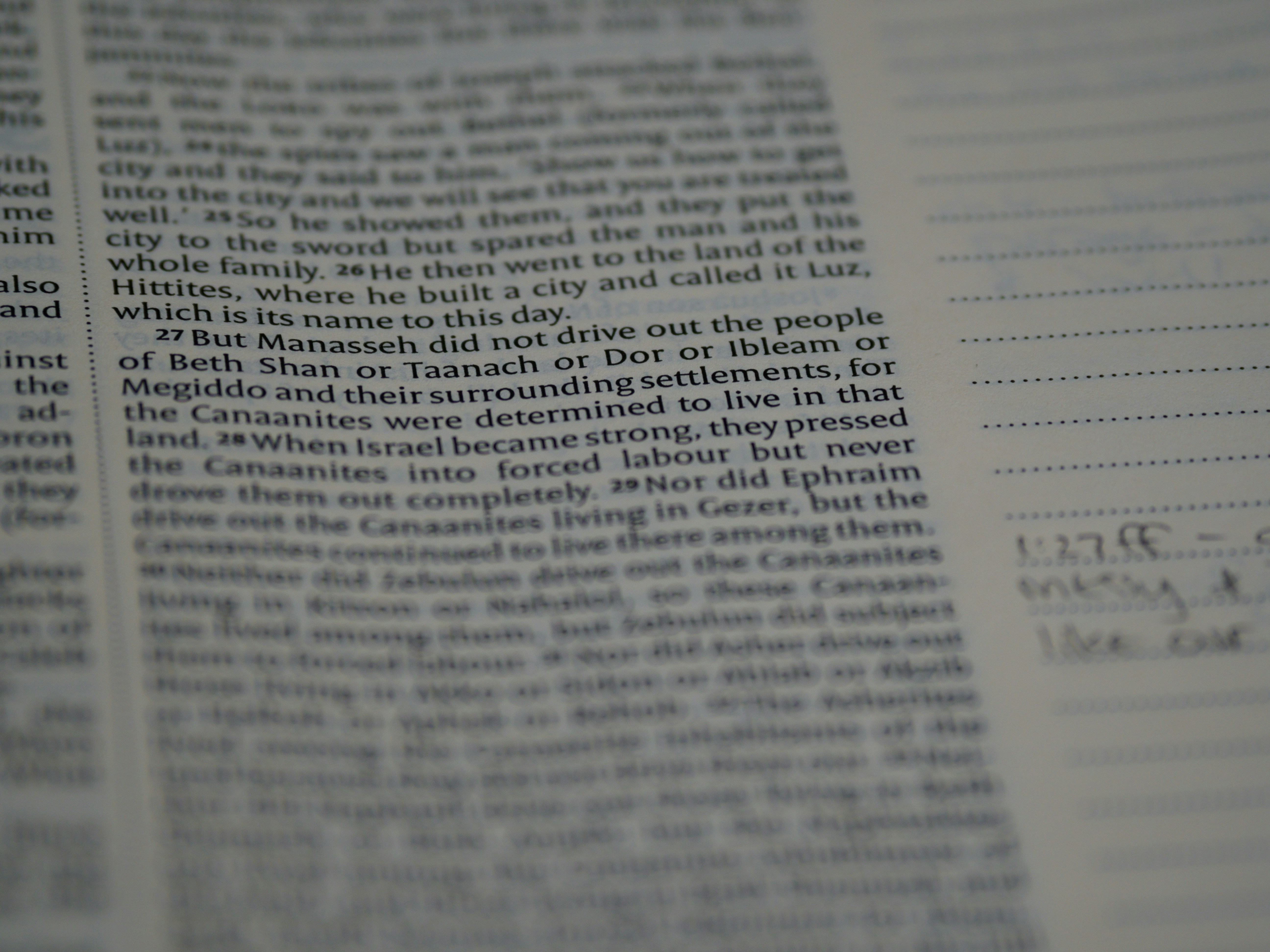 Photo by brett_jordan