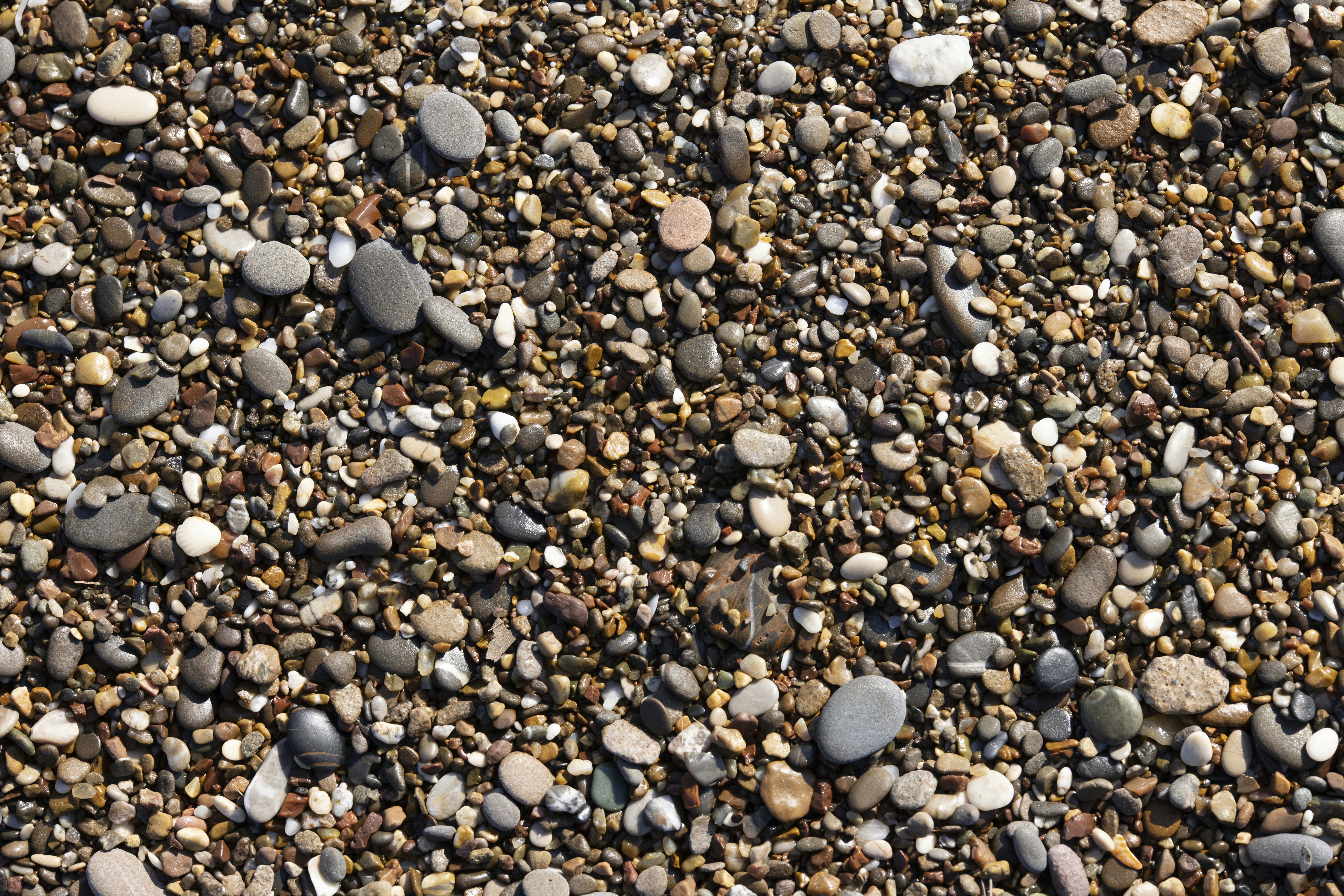 Photo by enginakyurt