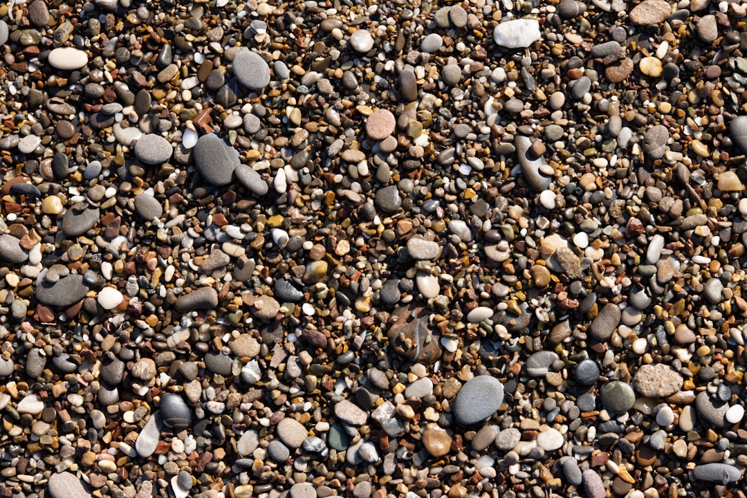 gray and white pebbles on the ground