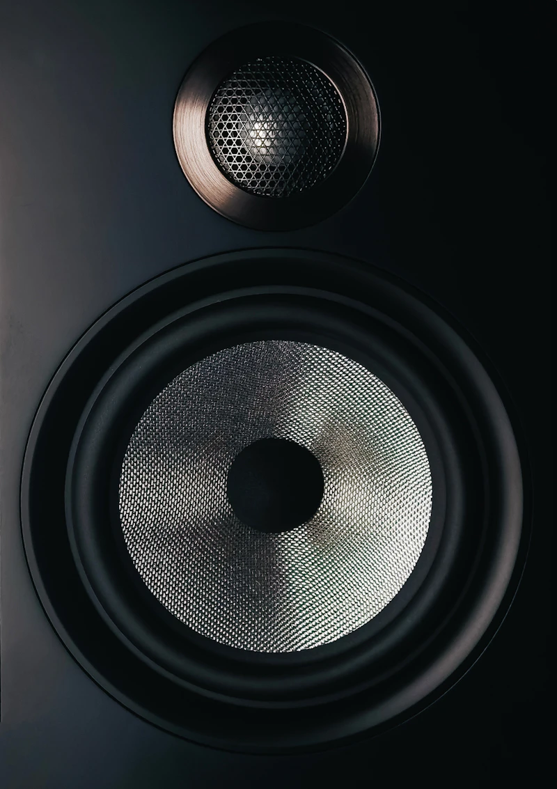 Altoparlante audio di lusso