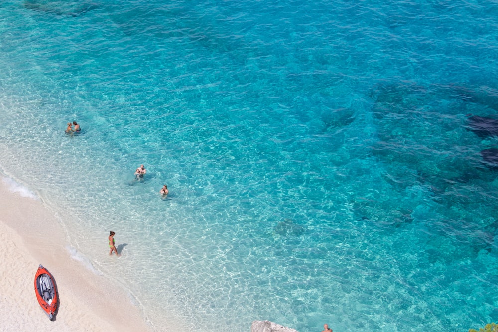 people on beach during daytime