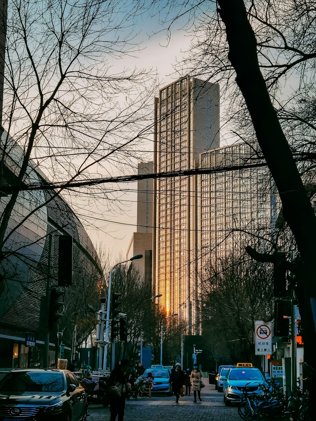 bare trees near brown building during daytime