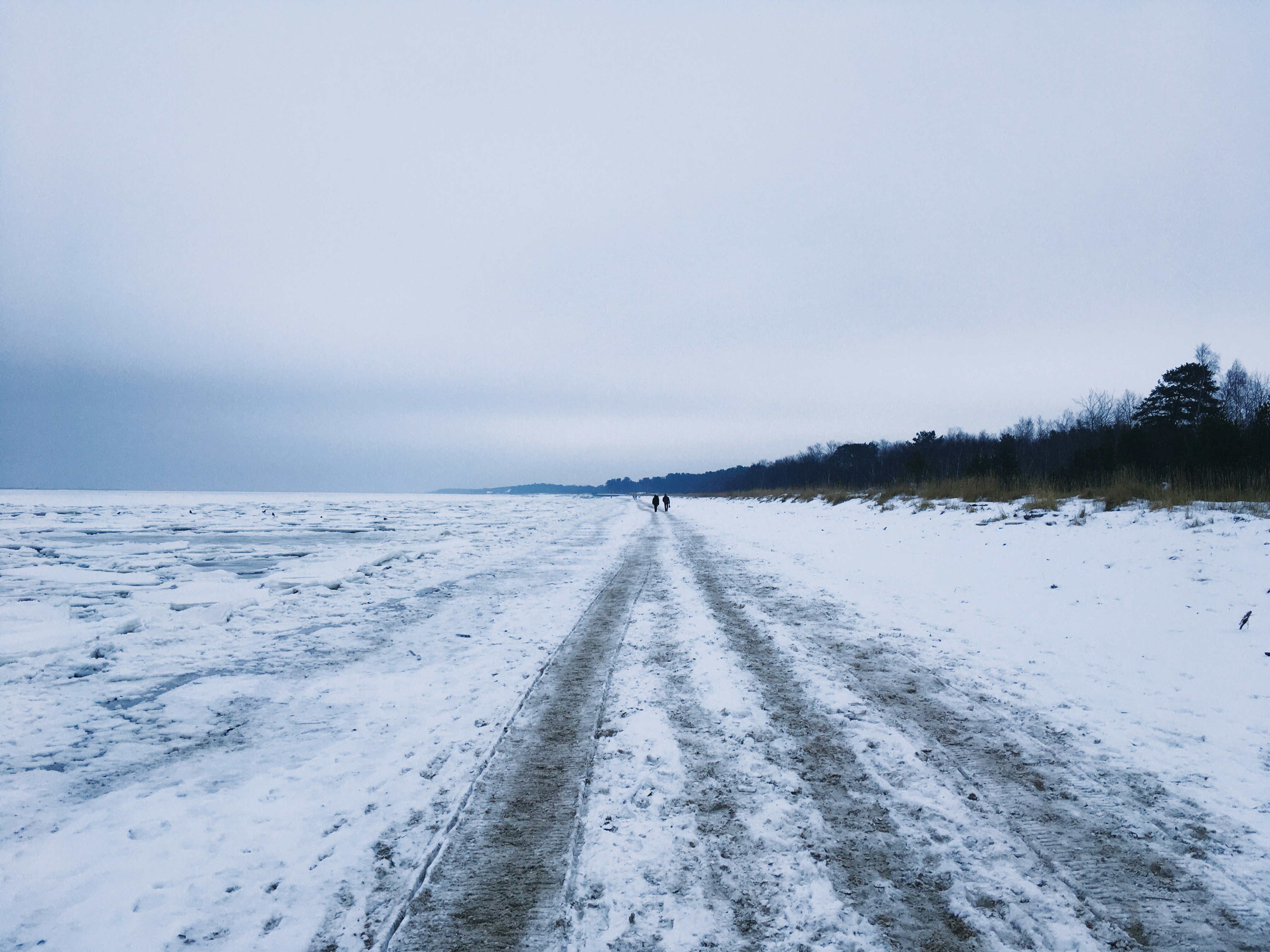 Schneebedecktes Feld tagsüber